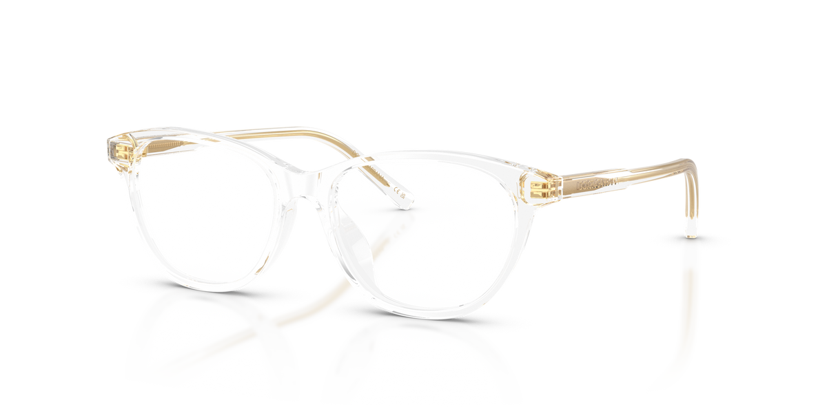 Prescription Glasses Dolce Gabbana DX3002 3133 48 / 50 15