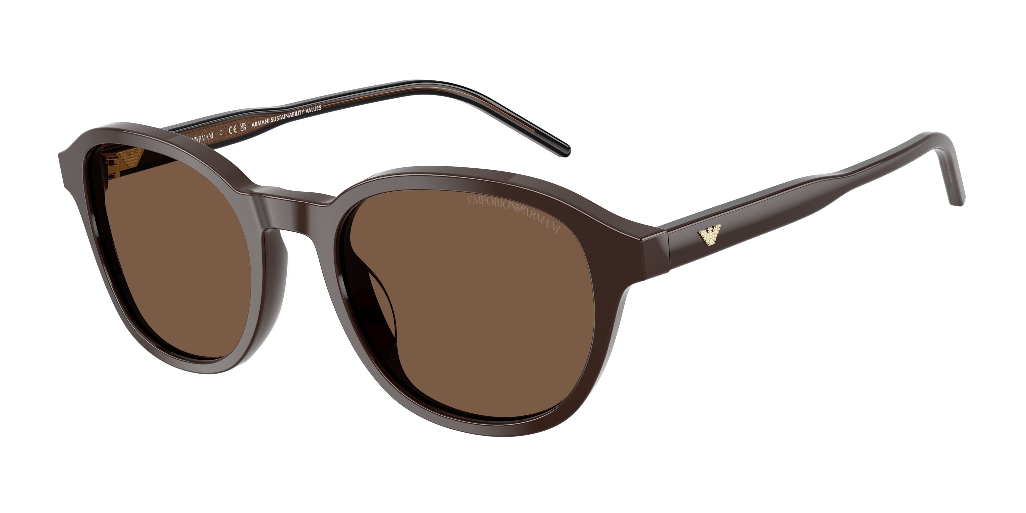 Gafas de Sol Emporio Armani EA4247U 625573 51 20