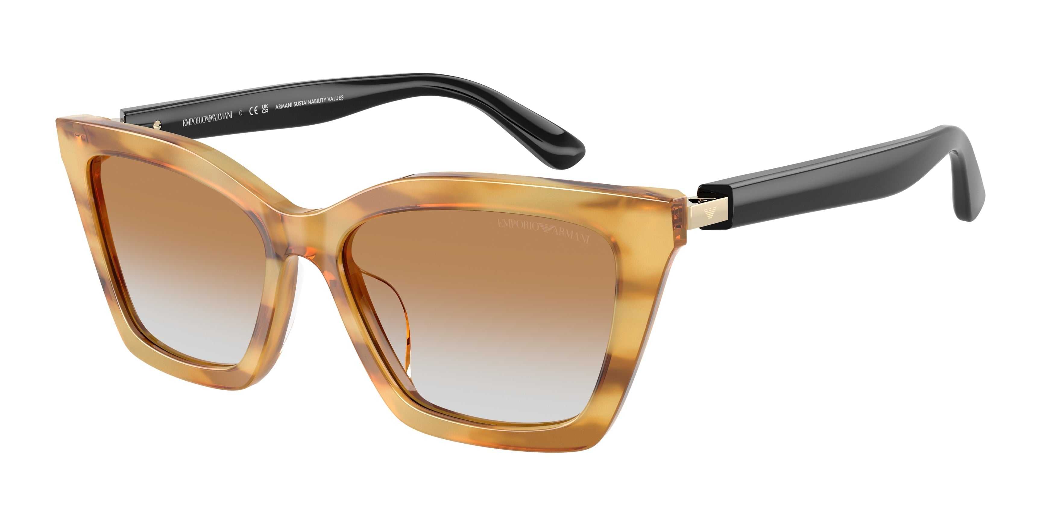 Gafas de Sol Emporio Armani EA4250U 62692Q 54 16