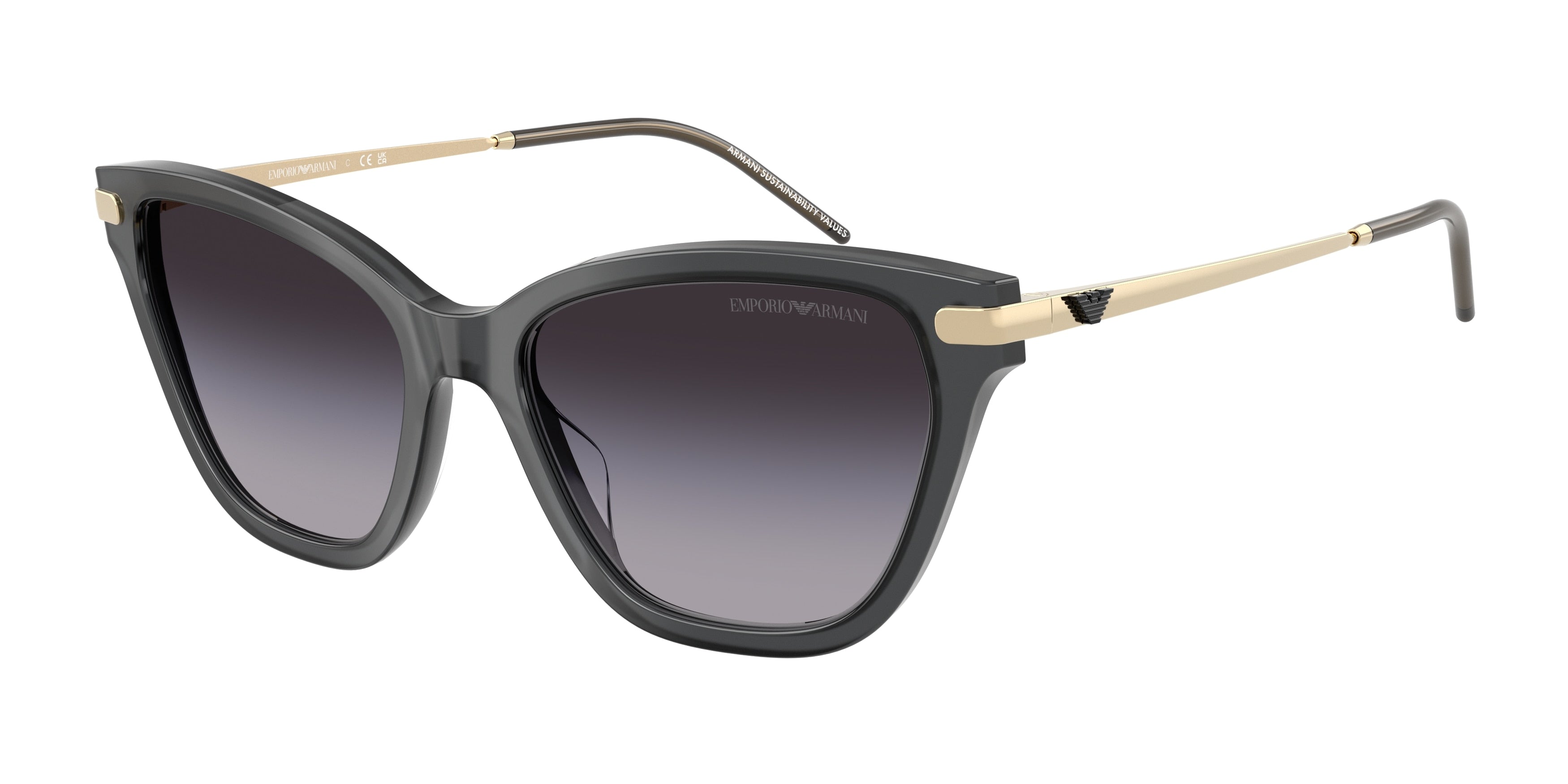 Gafas de Sol Emporio Armani EA4251 62628G 54 17