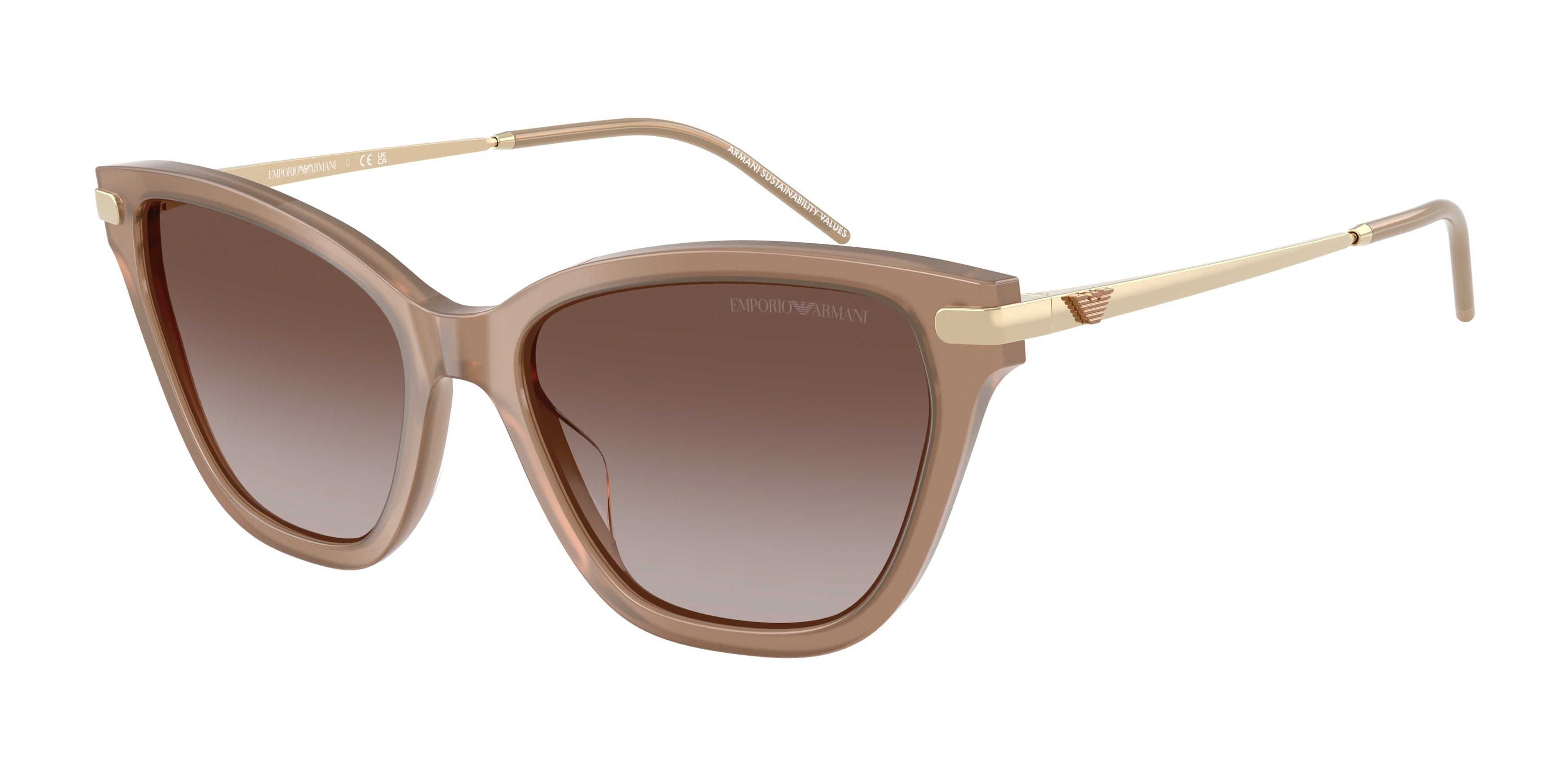 Gafas de Sol Emporio Armani EA4251 626313 54 17