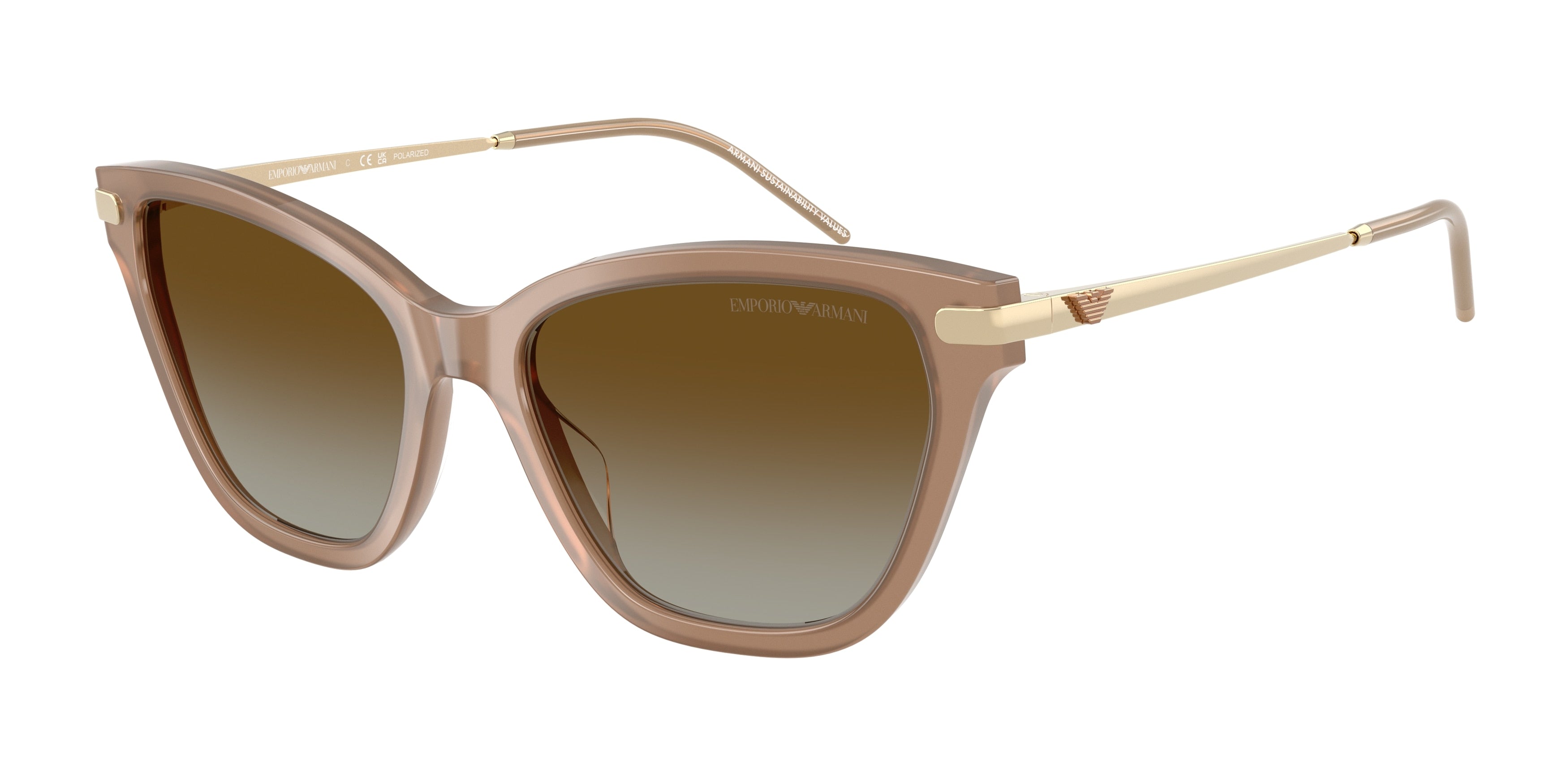 Gafas de Sol Emporio Armani EA4251 6263T5 54 17