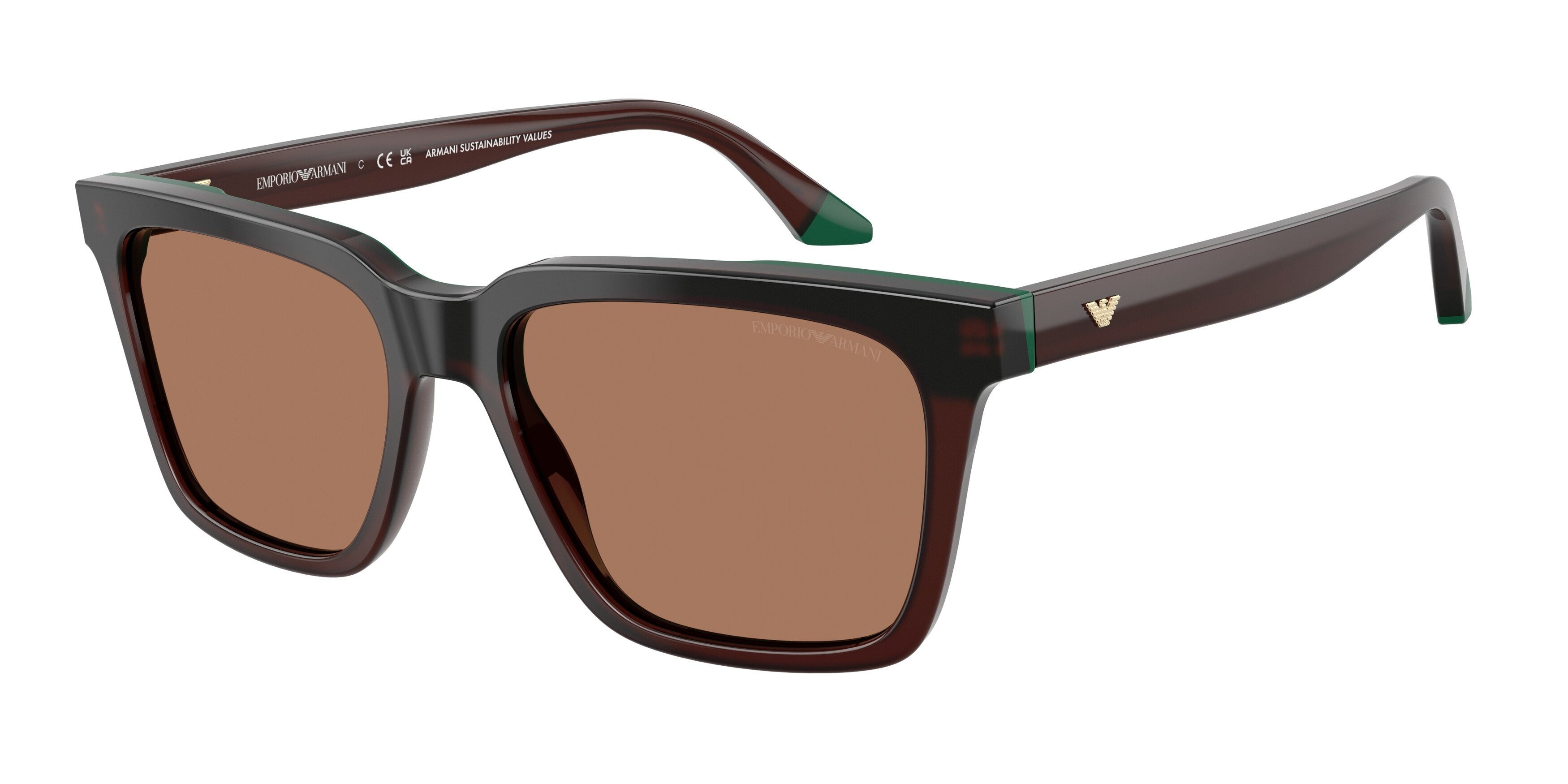 Gafas de Sol Emporio Armani EA4260 631573 55 17