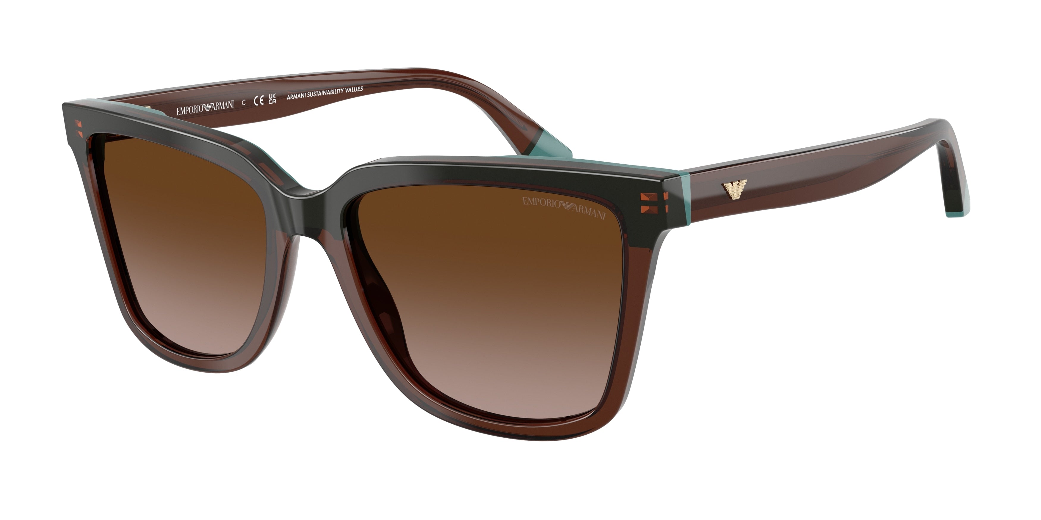 Gafas de Sol Emporio Armani EA4261 631813 55 17