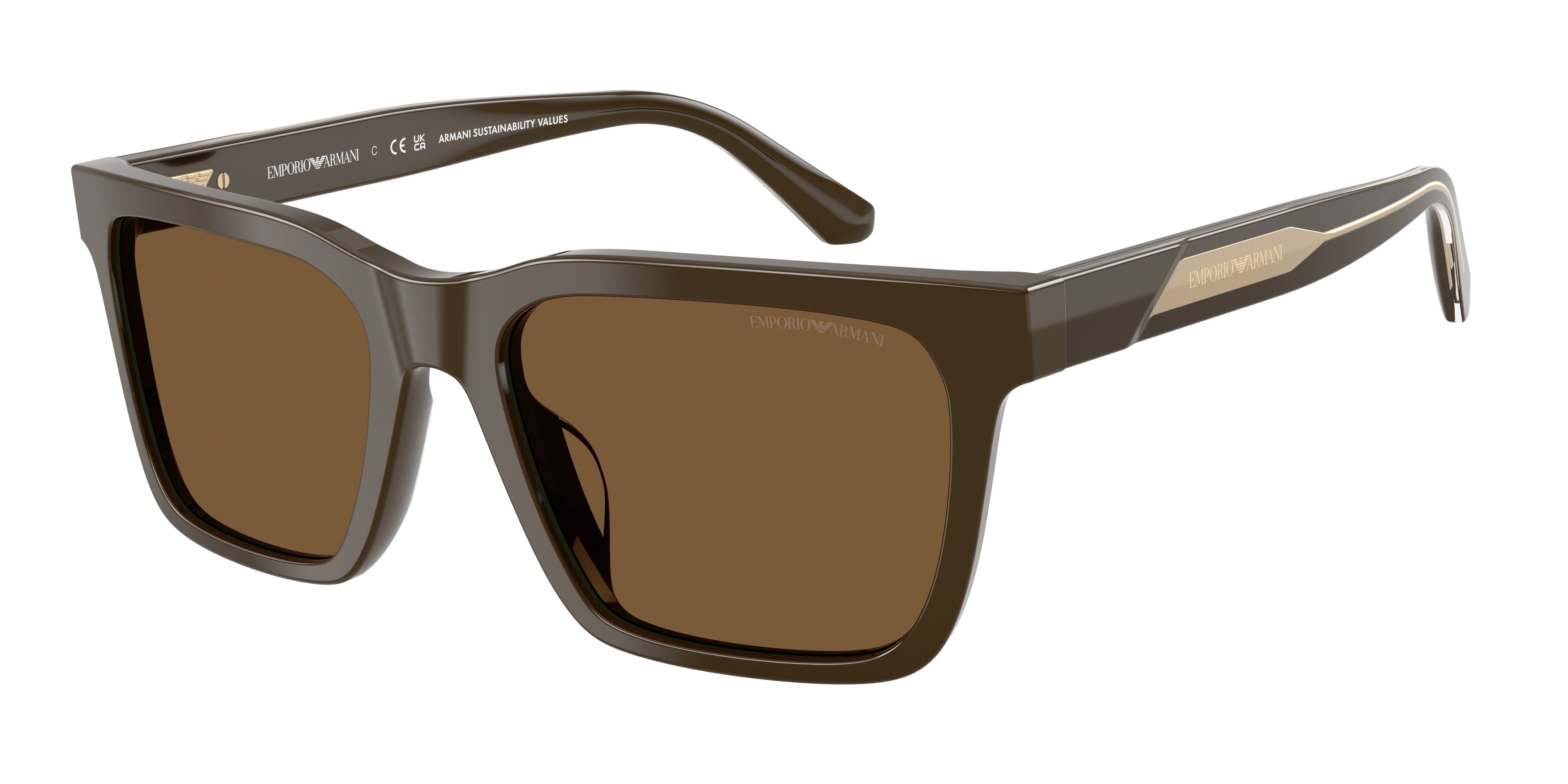 Gafas de Sol Emporio Armani EA4262U 630773 57 19