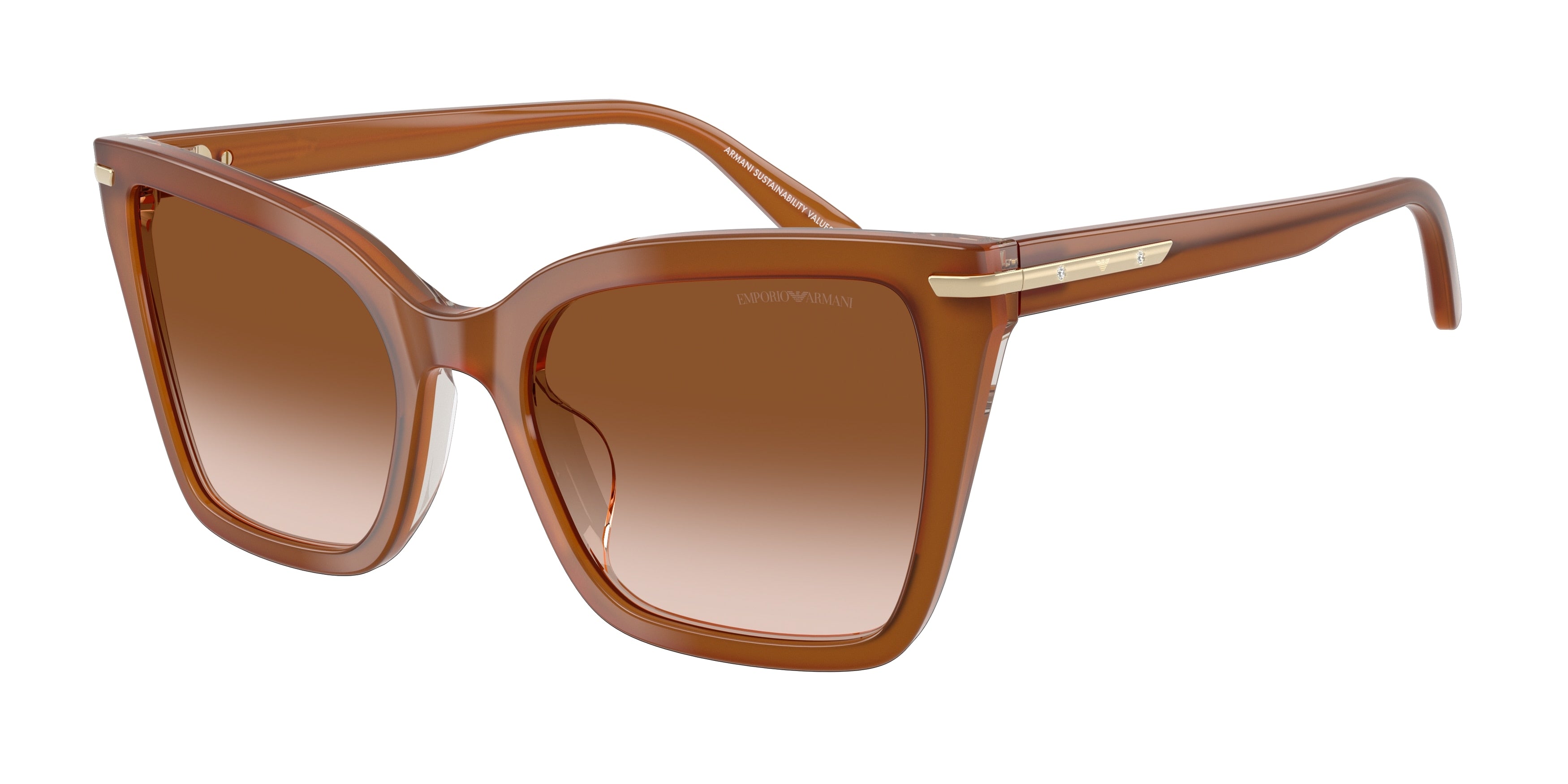 Gafas de Sol Emporio Armani EA4273BU 637613 53 19