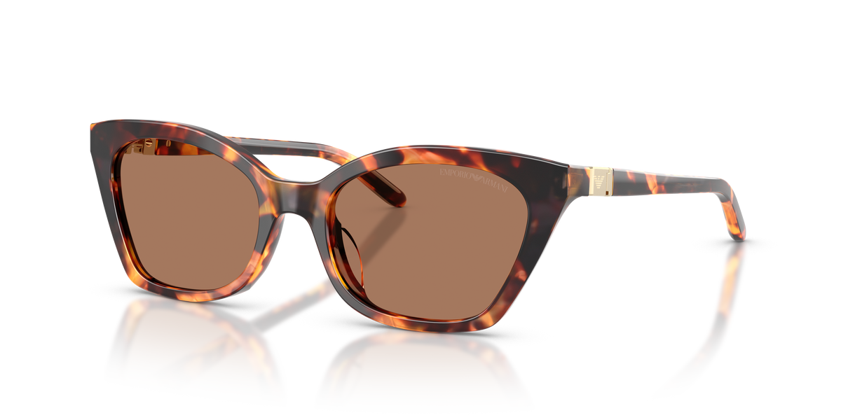 Gafas de Sol Emporio Armani EA4284U 646273 52 18