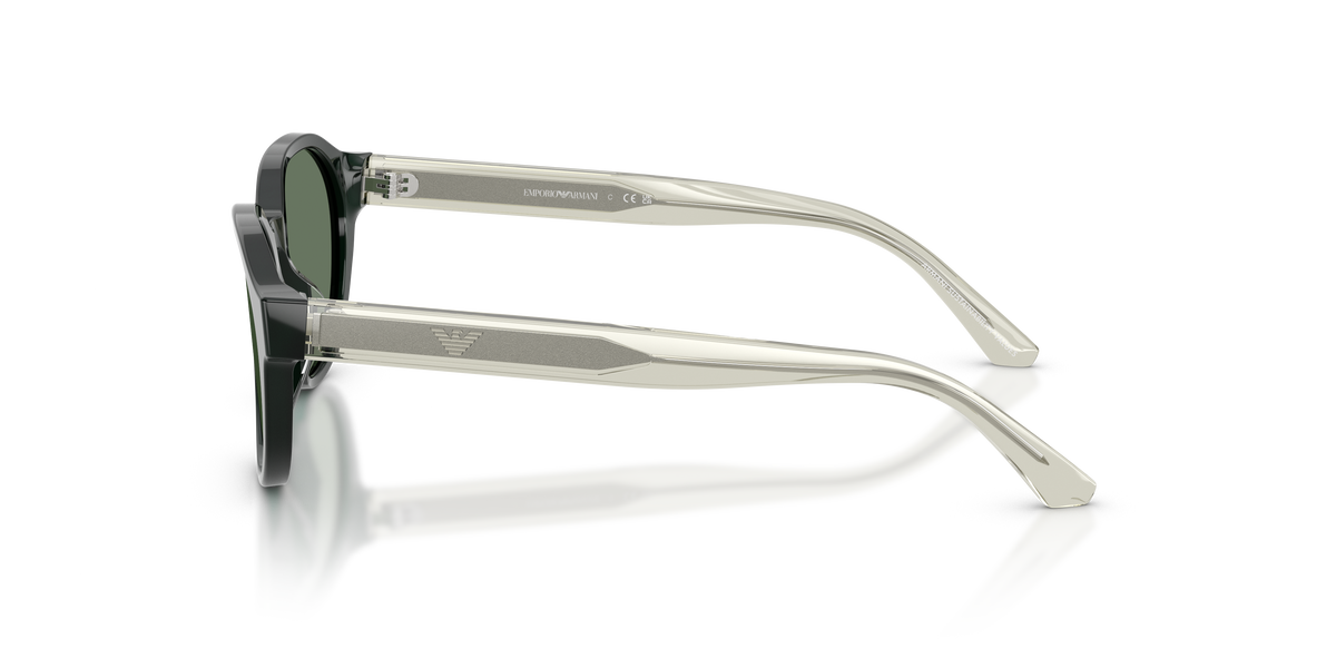 Gafas de Sol Emporio Armani EK4008U 638182 48 17