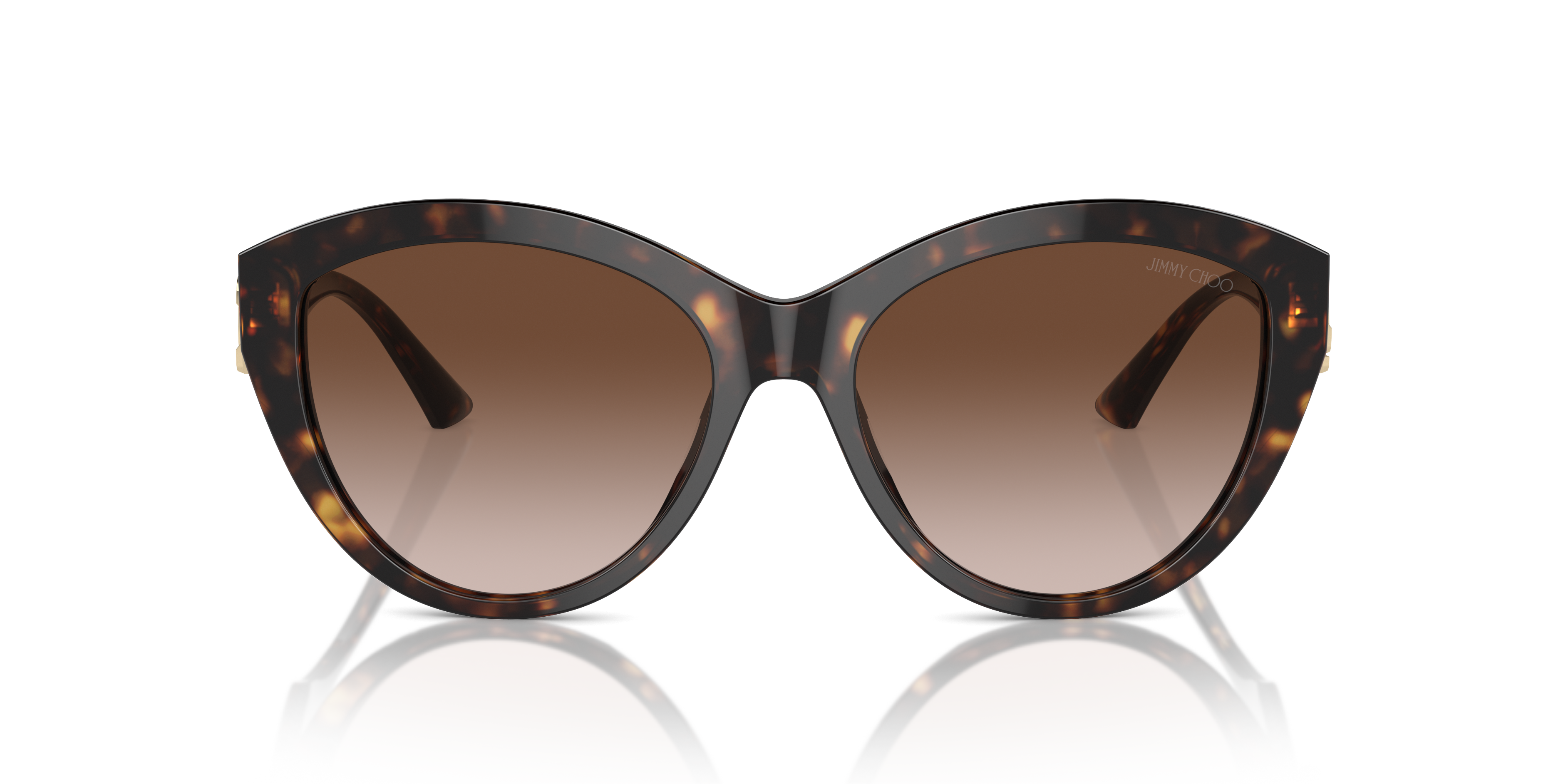 Gafas de Sol Jimmy Choo Magnified JC5007 500213