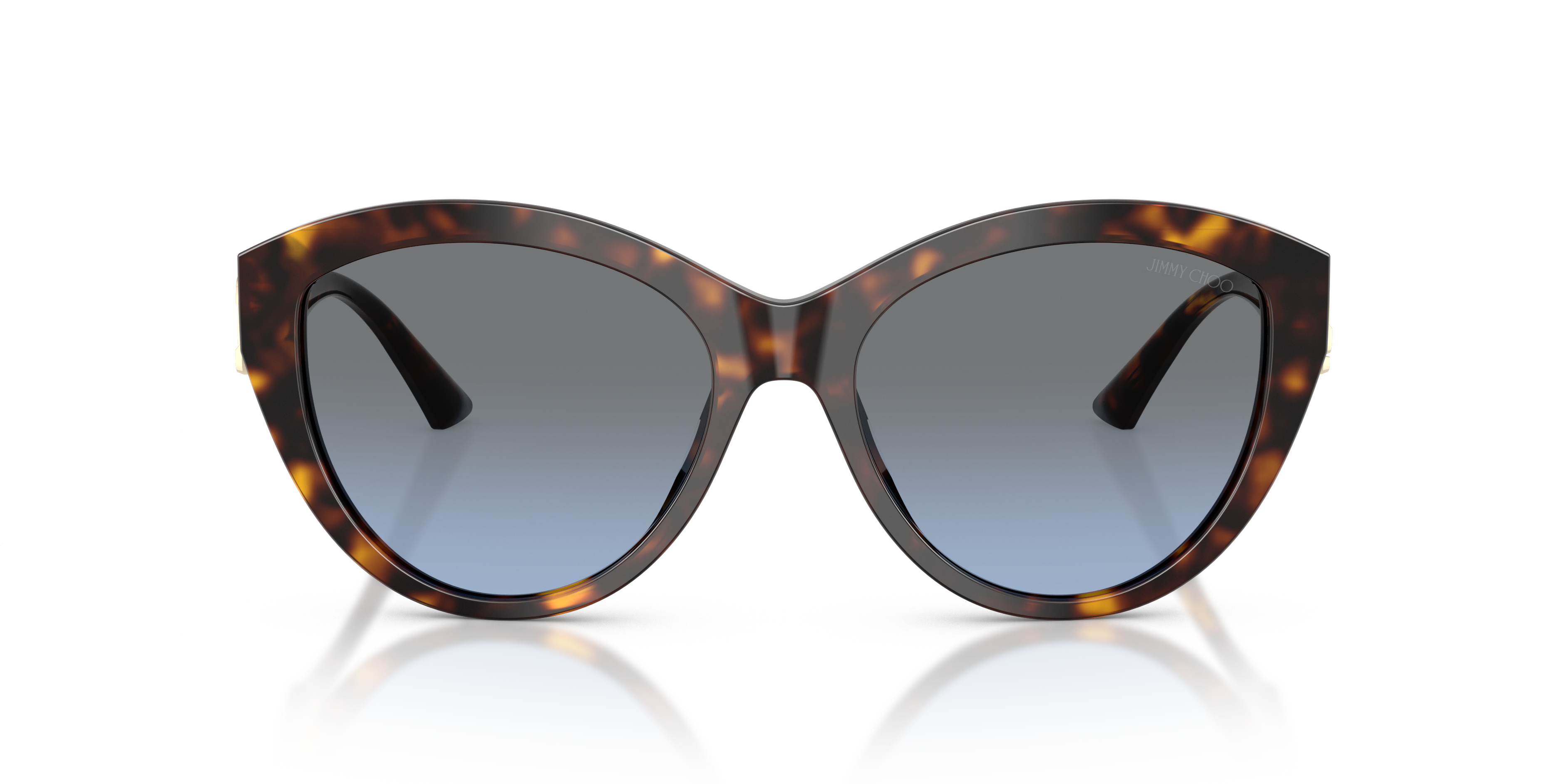 Gafas de Sol Jimmy Choo Magnified JC5007 50028F