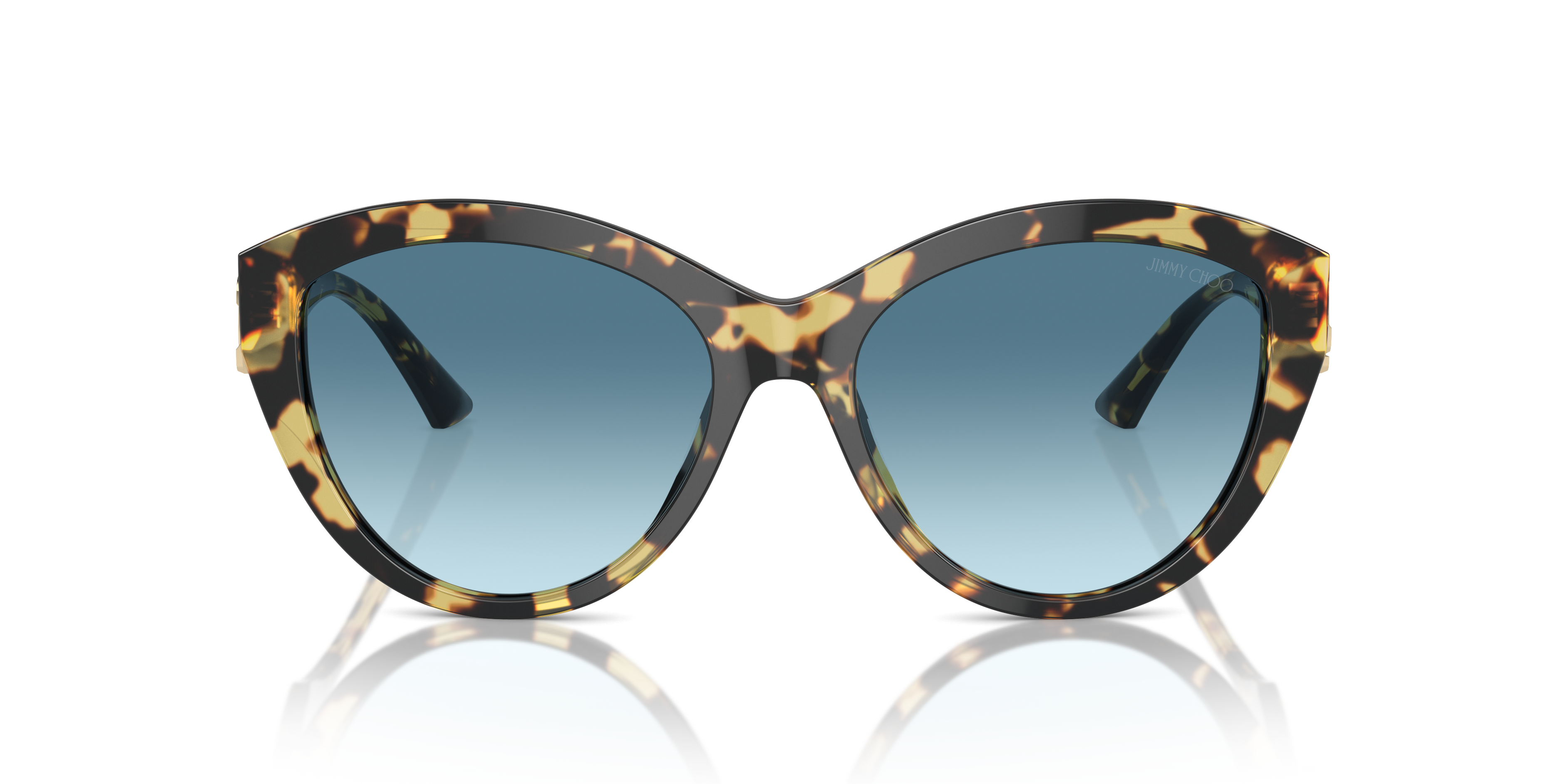 Gafas de Sol Jimmy Choo Magnified JC5007 500419