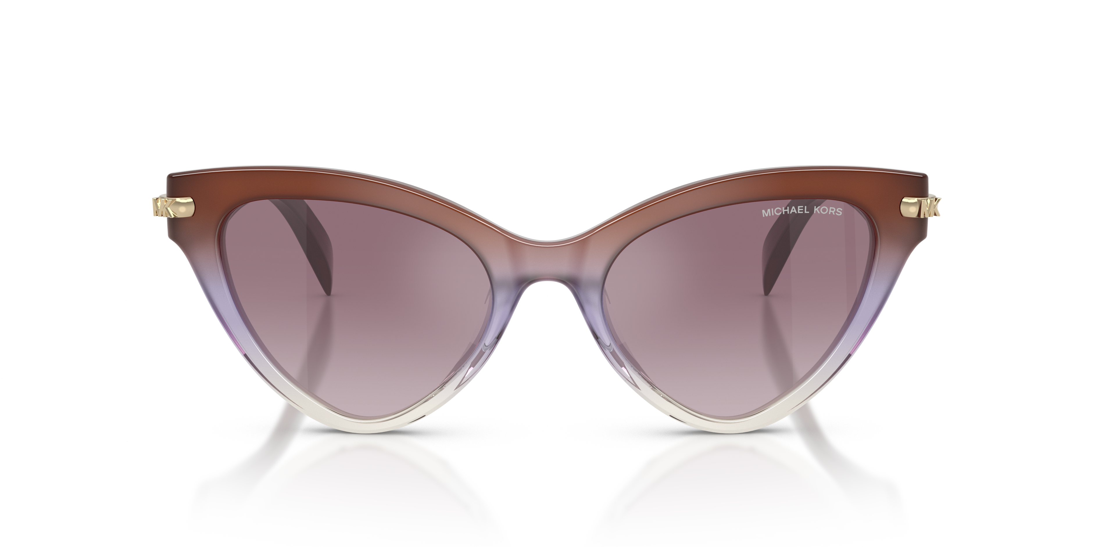 Gafas de Sol Michael Kors Roanoke MK2259U 40366X 52 19