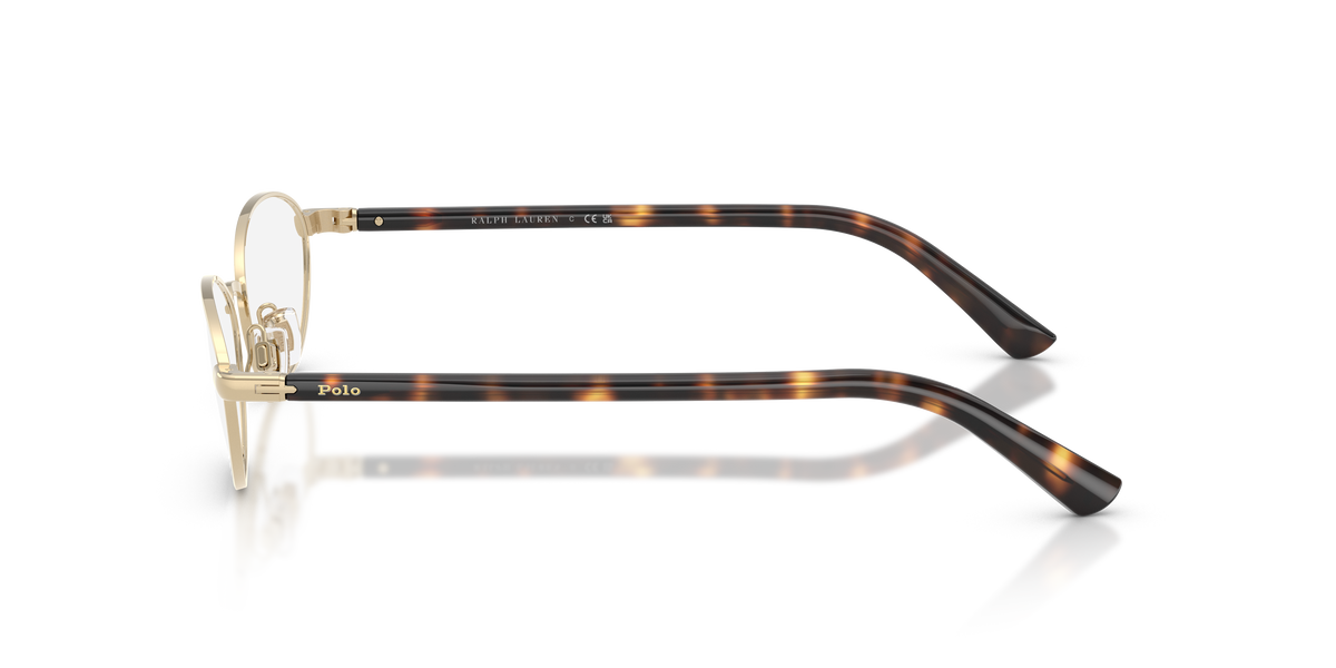 Prescription Glasses Polo Ralph Lauren PH1249 9204 51 / 53 16