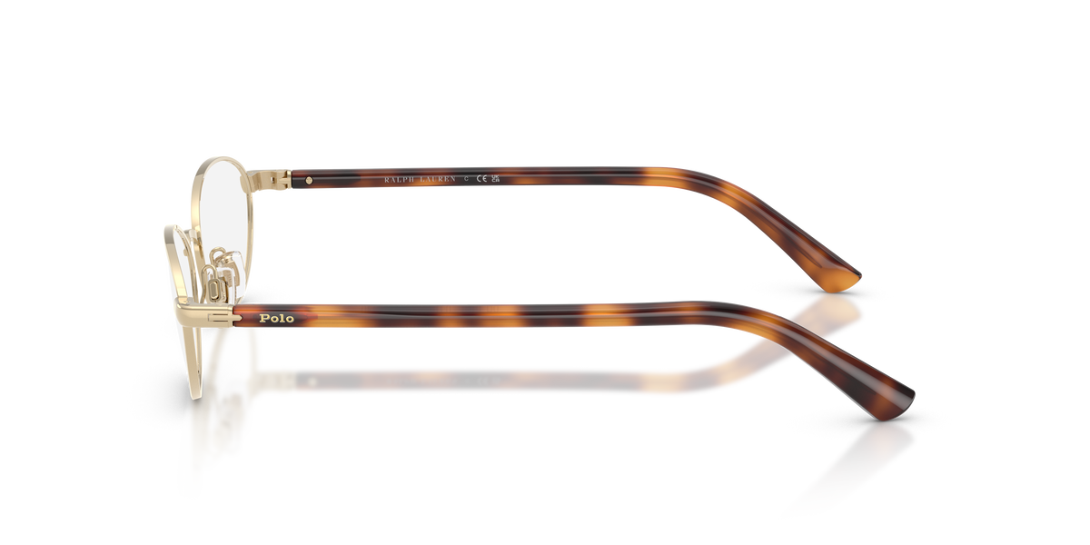 Prescription Glasses Polo Ralph Lauren PH1249 9270 51 / 53 16