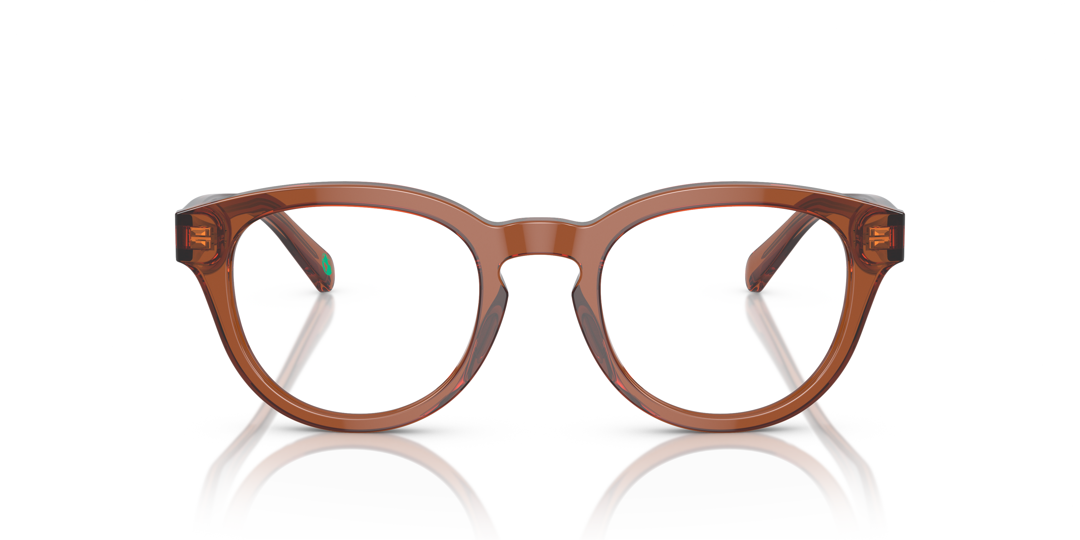 Gafas de Sol Polo Ralph Lauren PH2262 6086 48 21