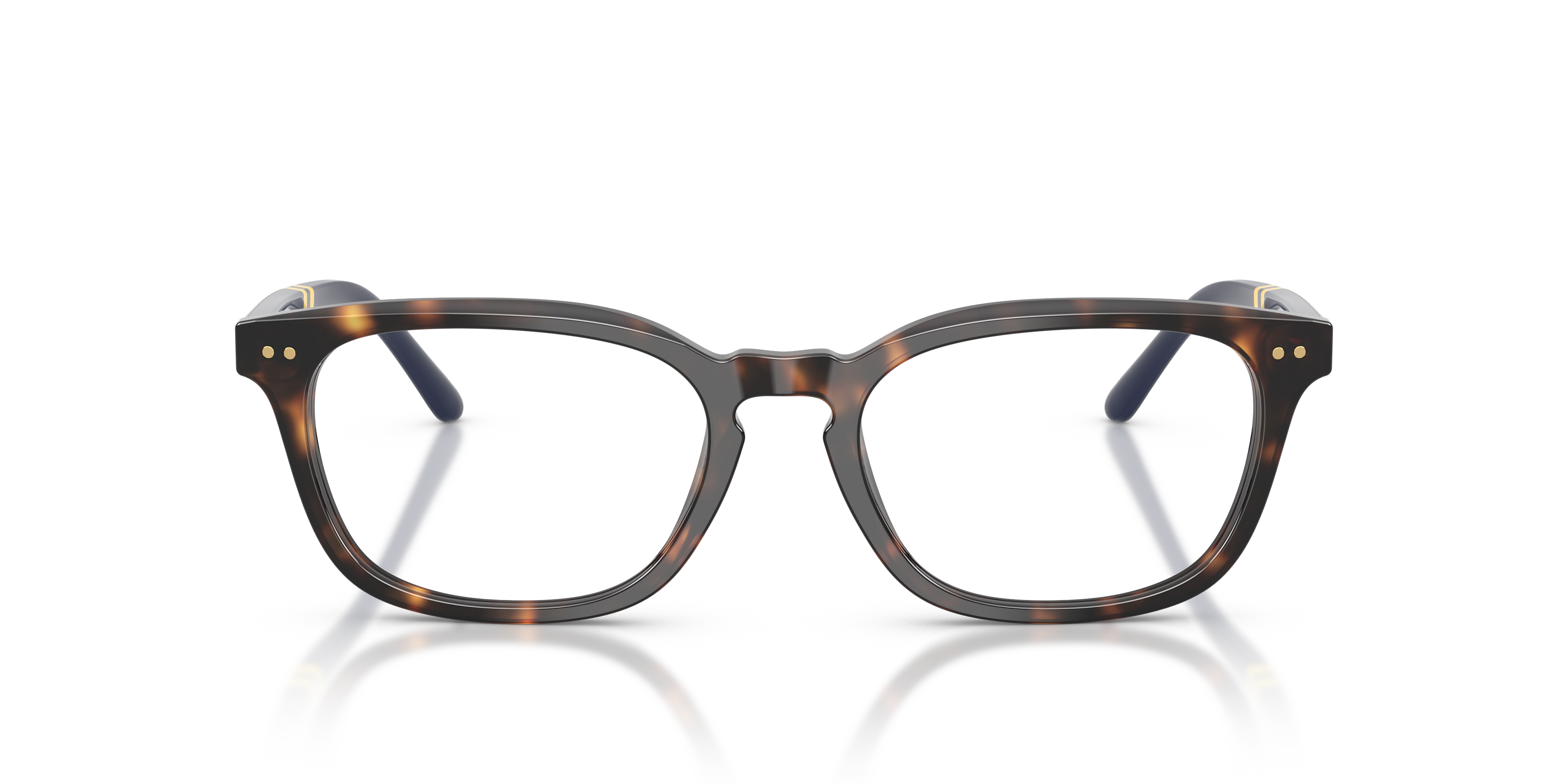 Gafas de Sol Polo Ralph Lauren PH2294 5003 53 18