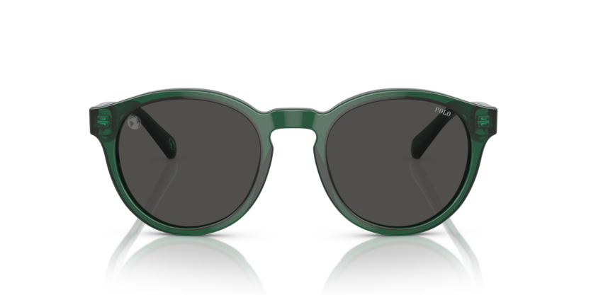 Gafas de Sol Polo Ralph Lauren PH4192 608487 51 21