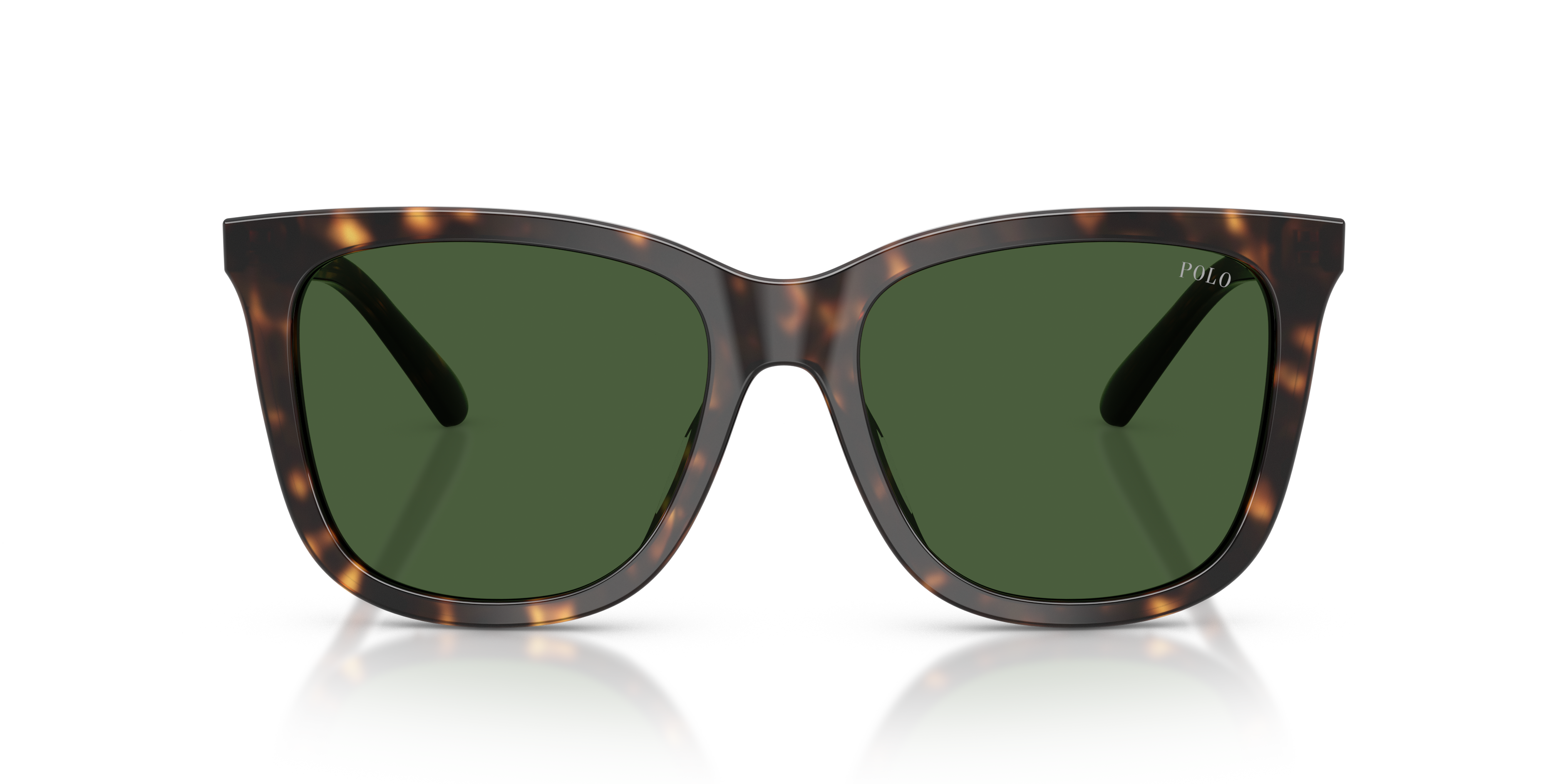Gafas de Sol Polo Ralph Lauren PH4201U 500371 55 18