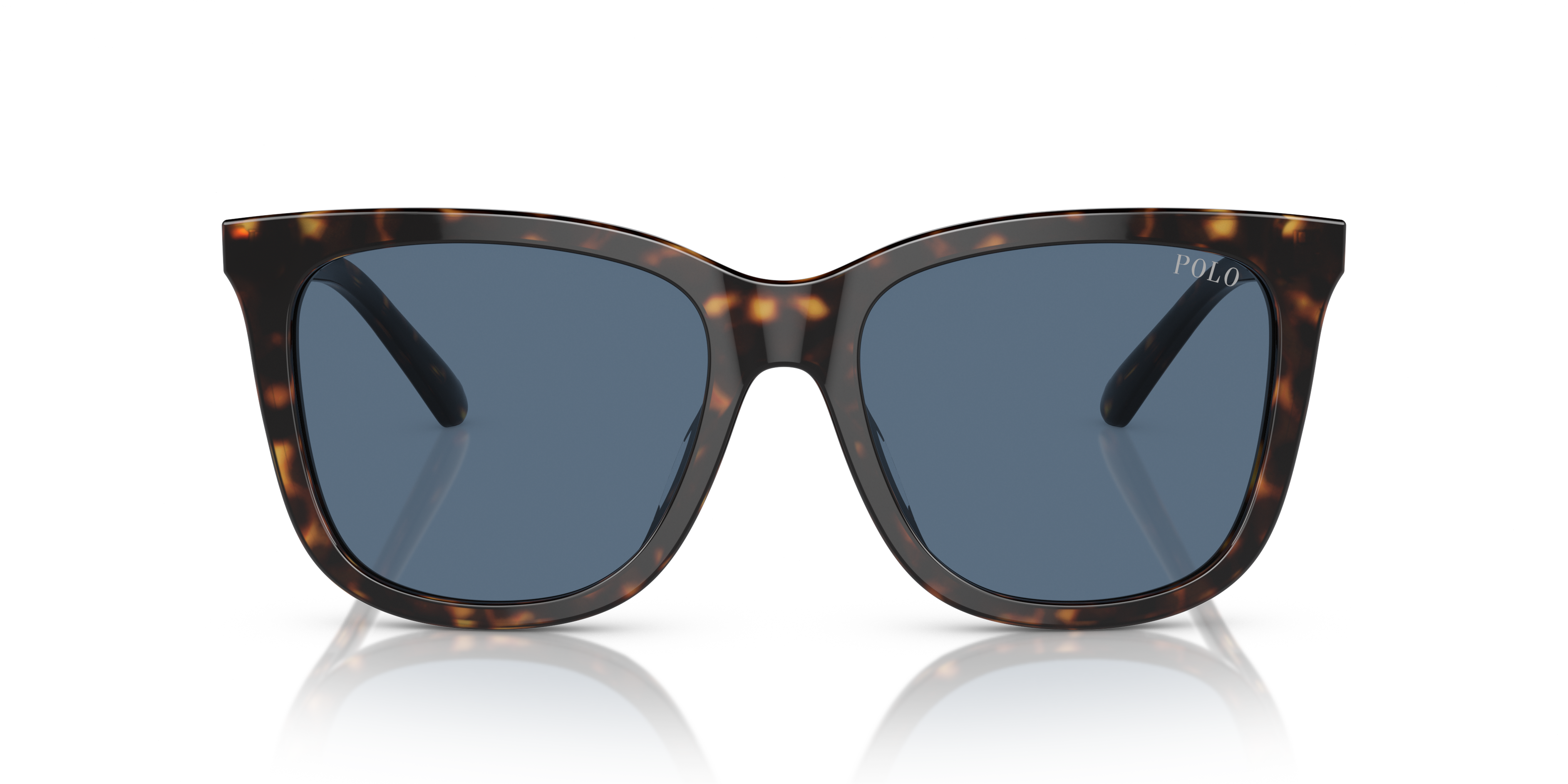 Gafas de Sol Polo Ralph Lauren PH4201U 500380 55 18
