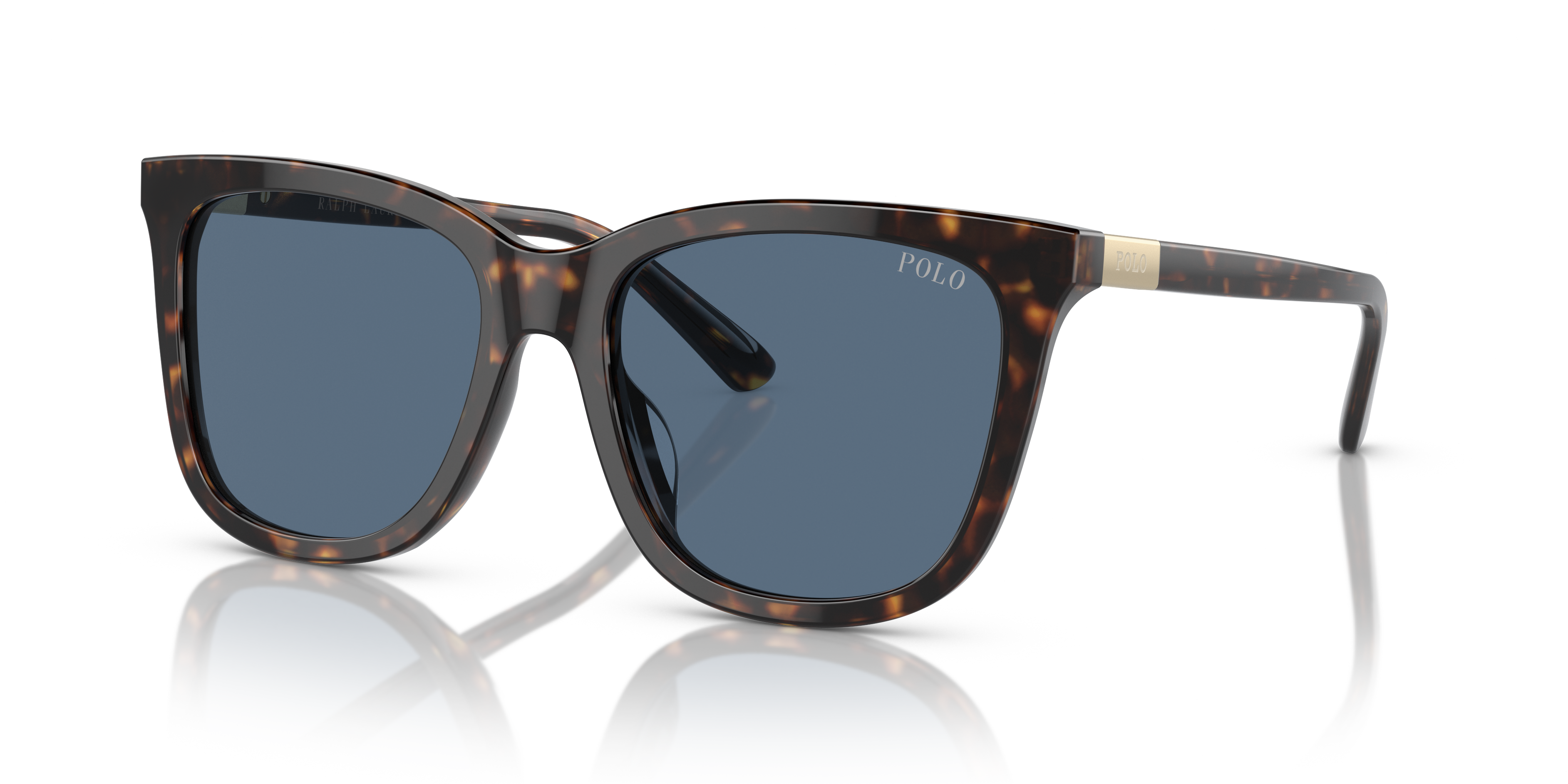 Gafas de Sol Polo Ralph Lauren PH4201U 500380 55 18