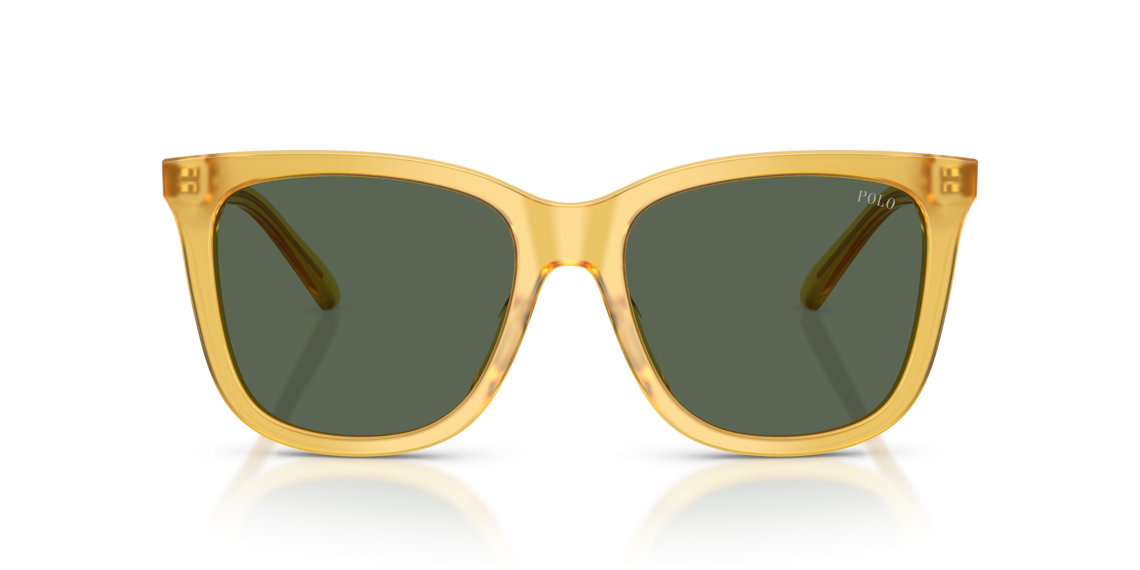Gafas de Sol Polo Ralph Lauren PH4201U 500571 55 18