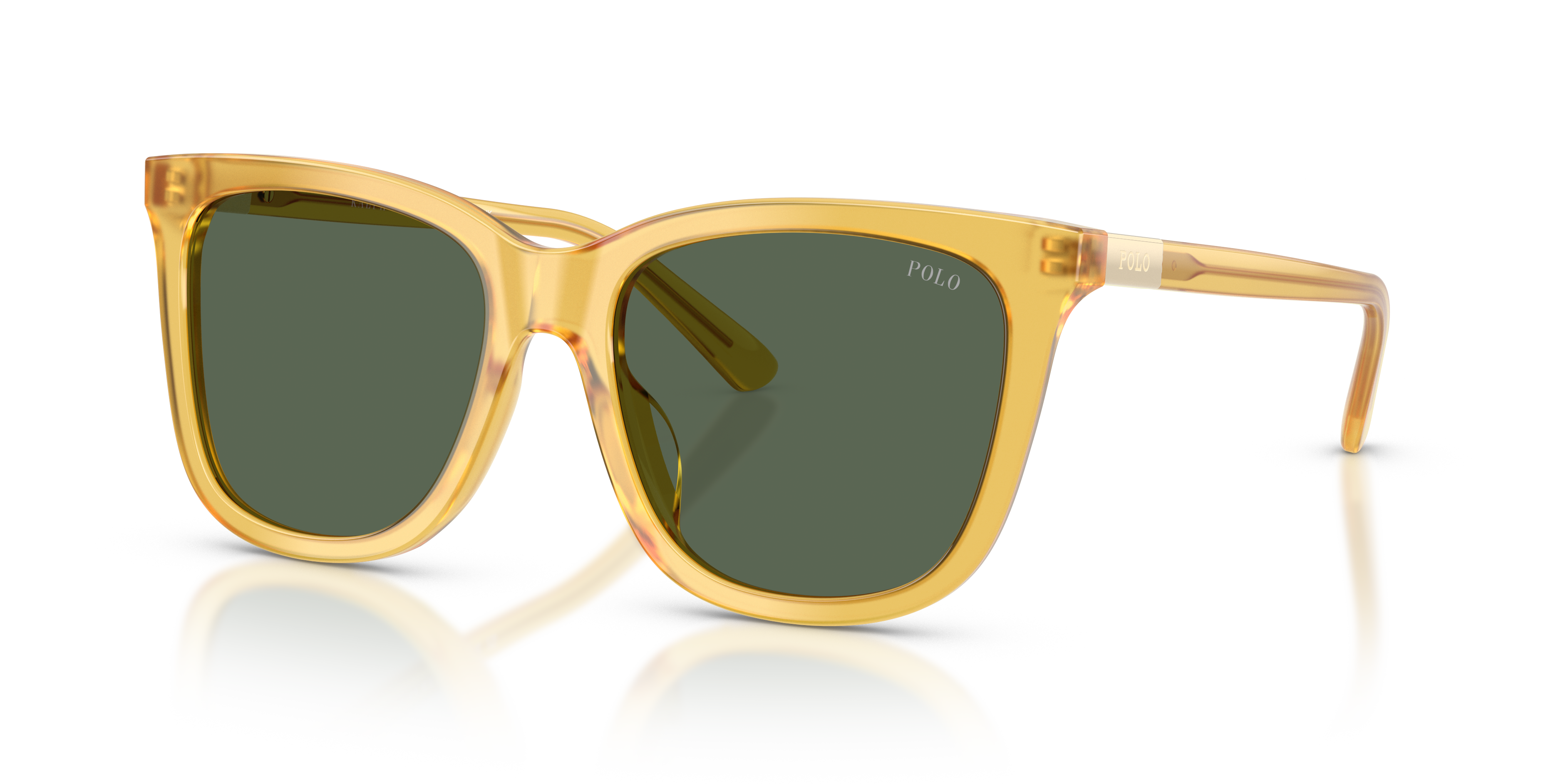 Gafas de Sol Polo Ralph Lauren PH4201U 500571 55 18