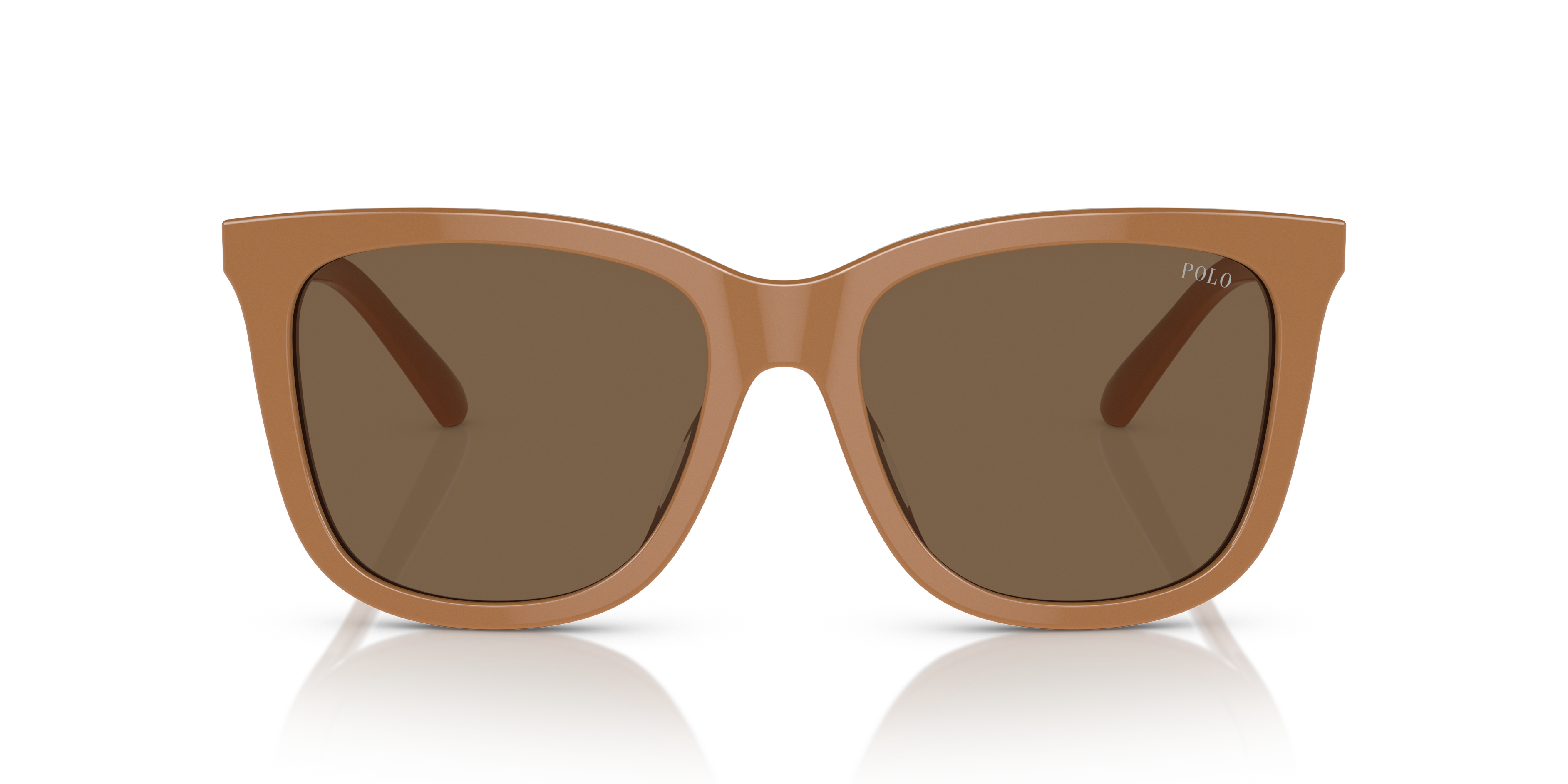 Gafas de Sol Polo Ralph Lauren PH4201U 619673 55 18