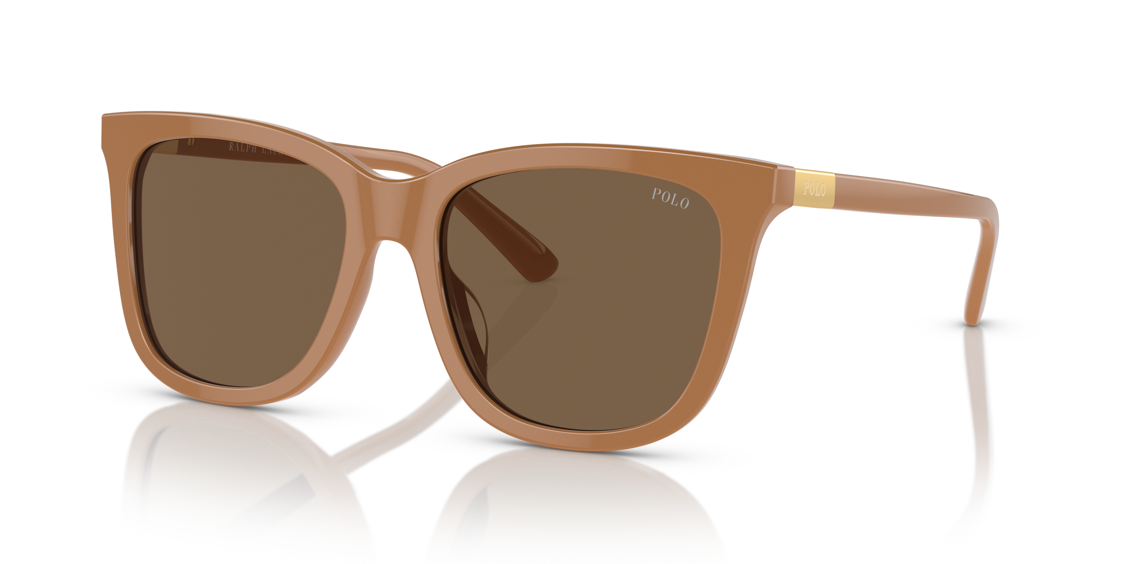 Gafas de Sol Polo Ralph Lauren PH4201U 619673 55 18