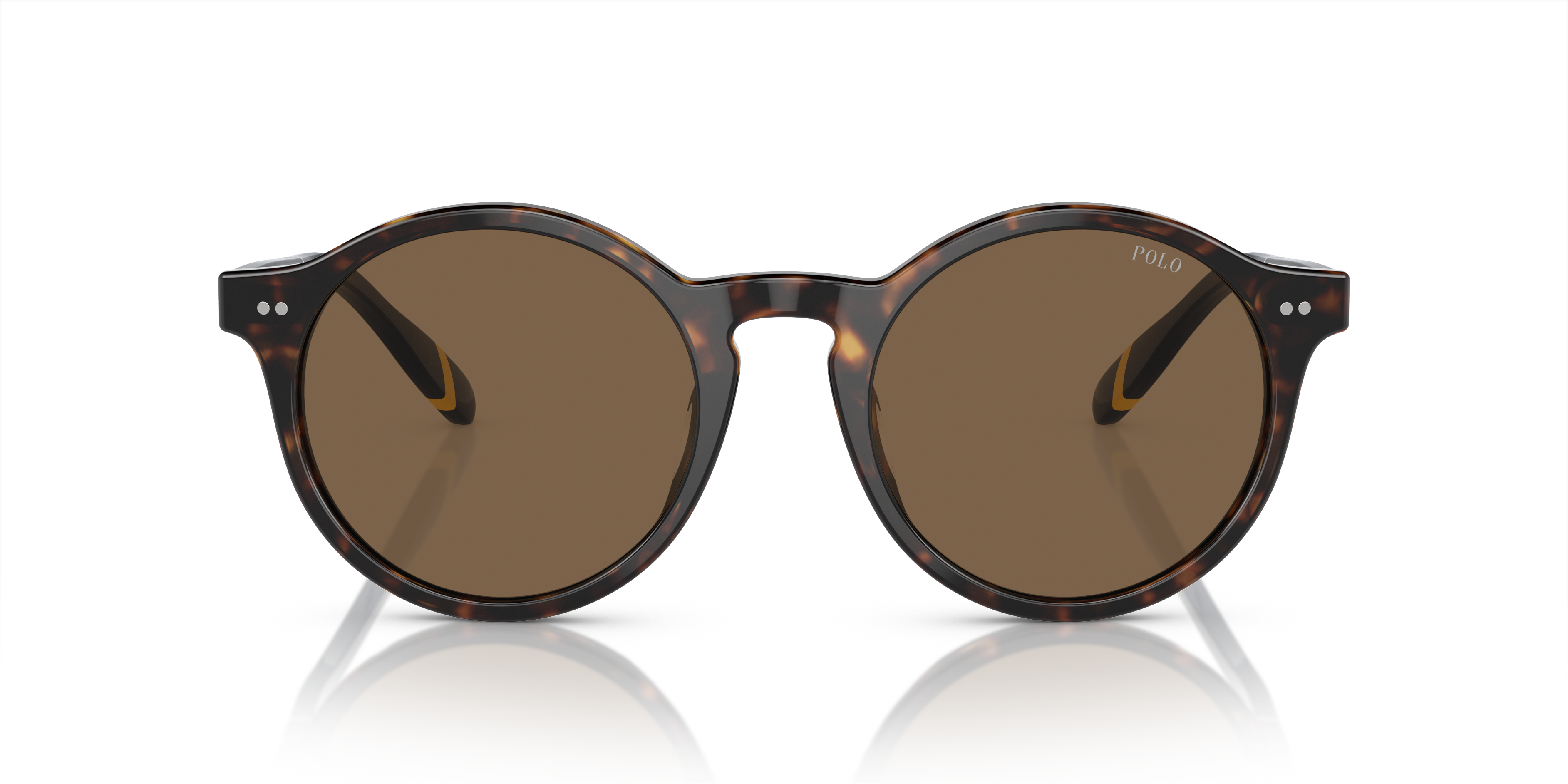 Gafas de Sol Polo Ralph Lauren PH4204U 500373 53 21