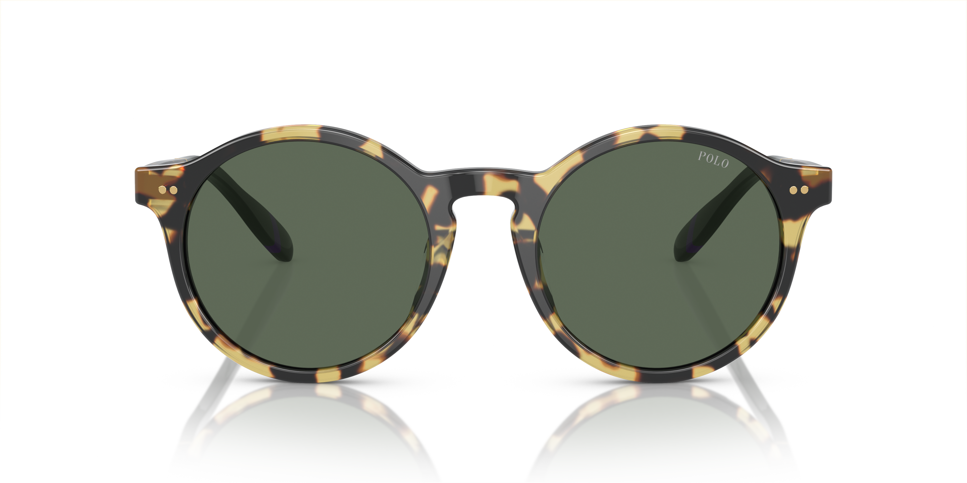 Gafas de Sol Polo Ralph Lauren PH4204U 500471 53 21