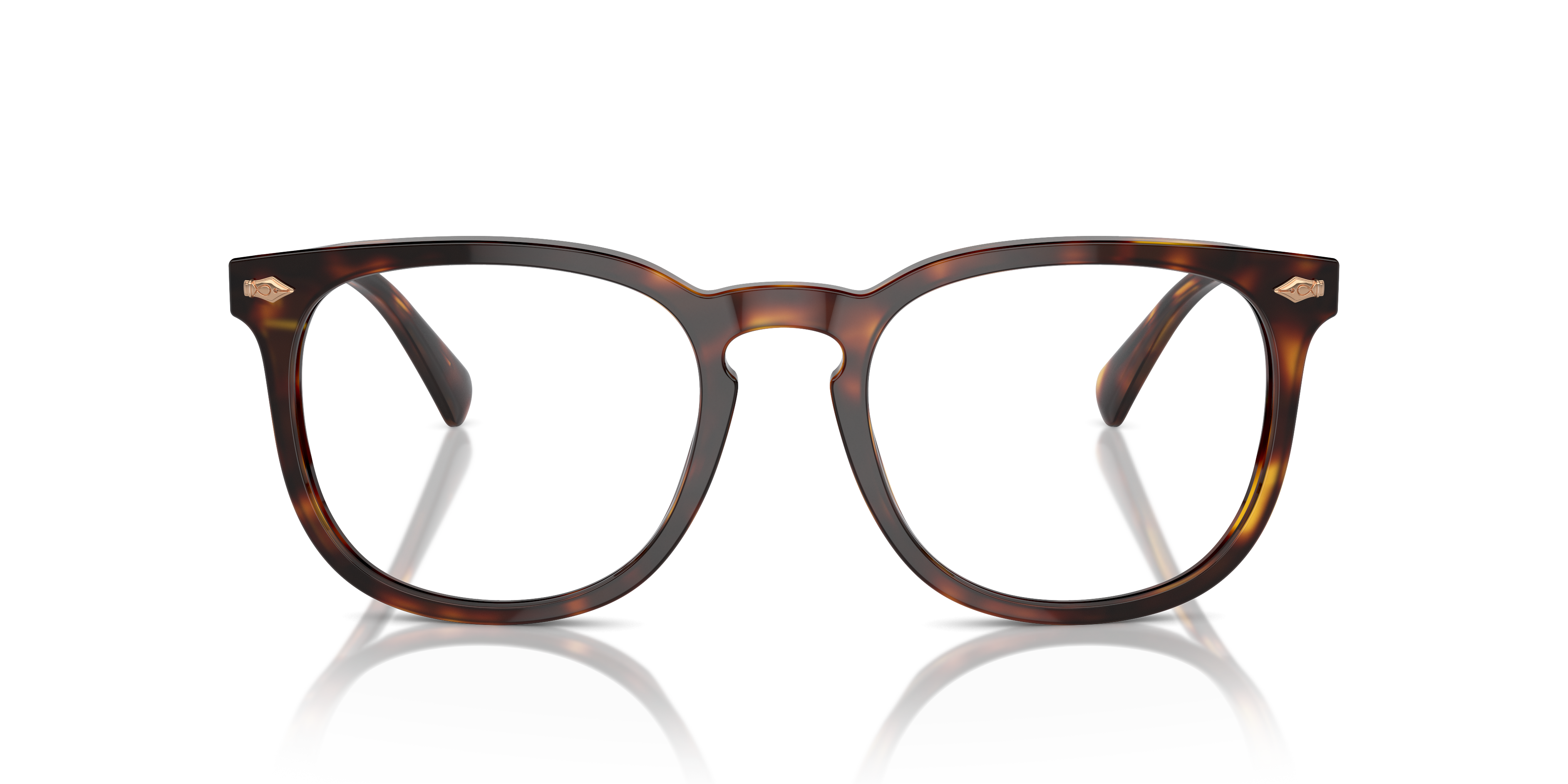 Gafas de Sol Polo Ralph Lauren PH4214 613773 54 20