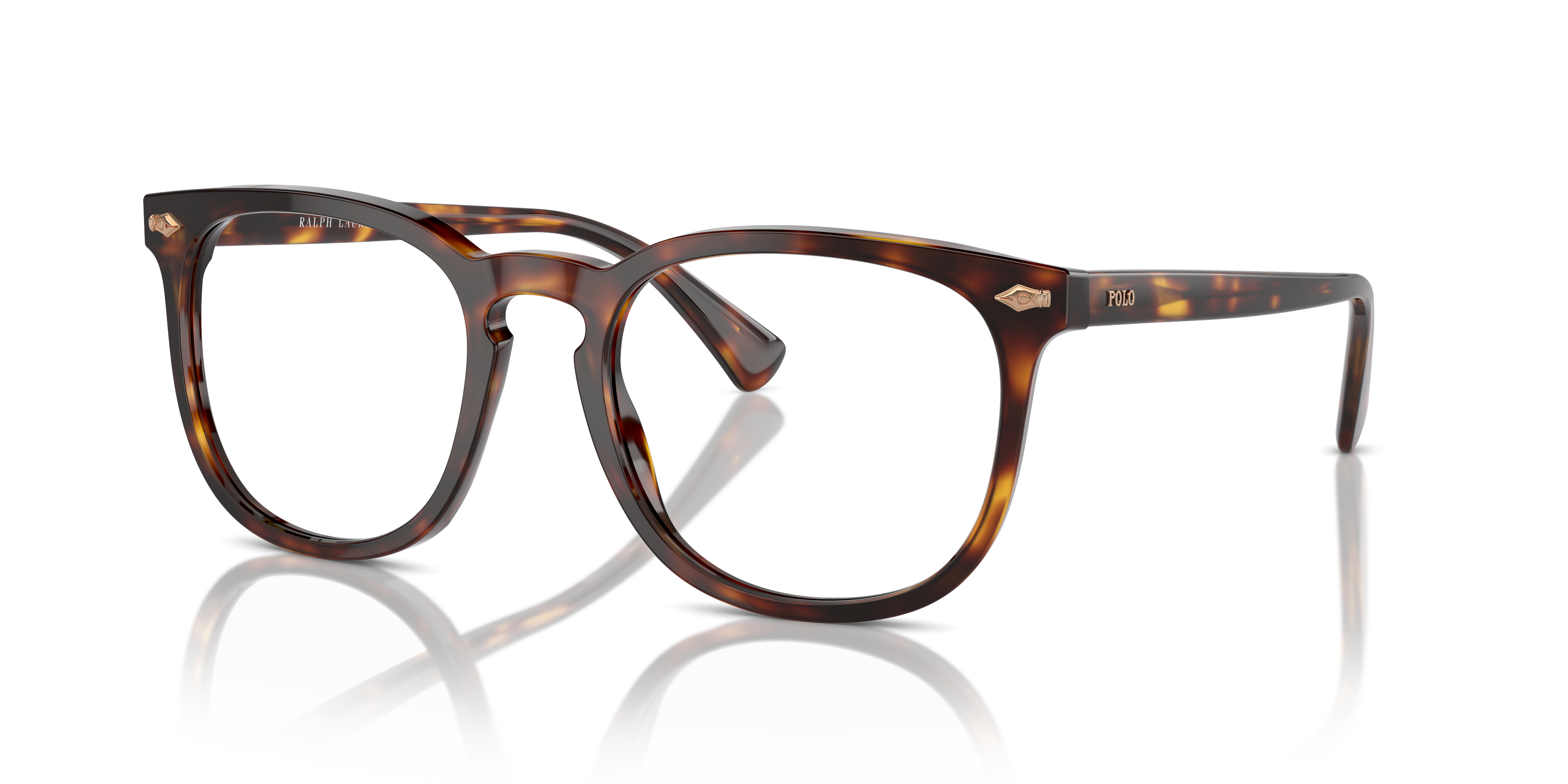 Gafas de Sol Polo Ralph Lauren PH4214 613773 54 20