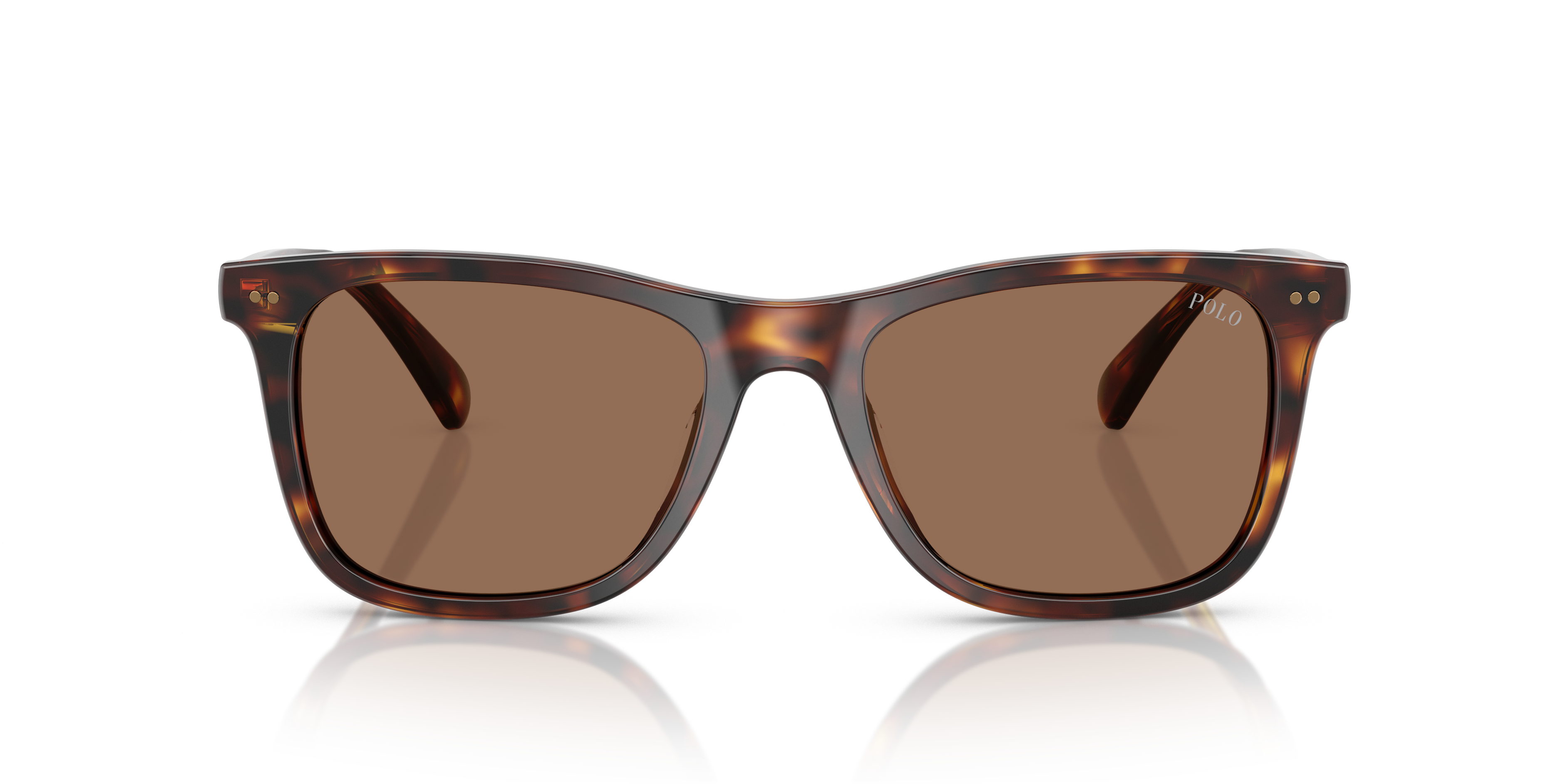 Gafas de Sol Polo Ralph Lauren PH4220U 613773 55 19