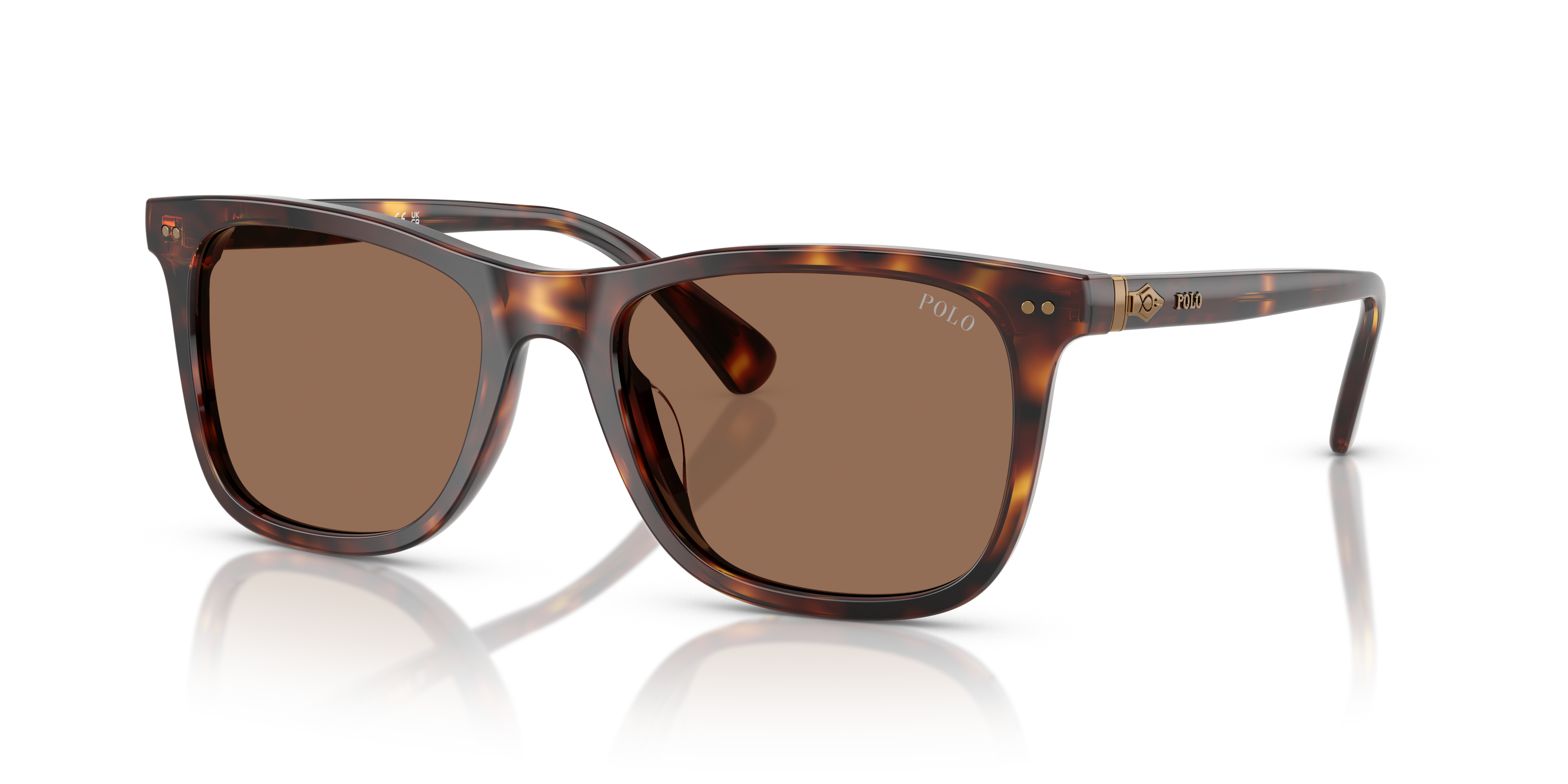 Gafas de Sol Polo Ralph Lauren PH4220U 613773 55 19