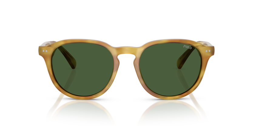 Gafas de Sol Polo Ralph Lauren PH4221 618571 52 19