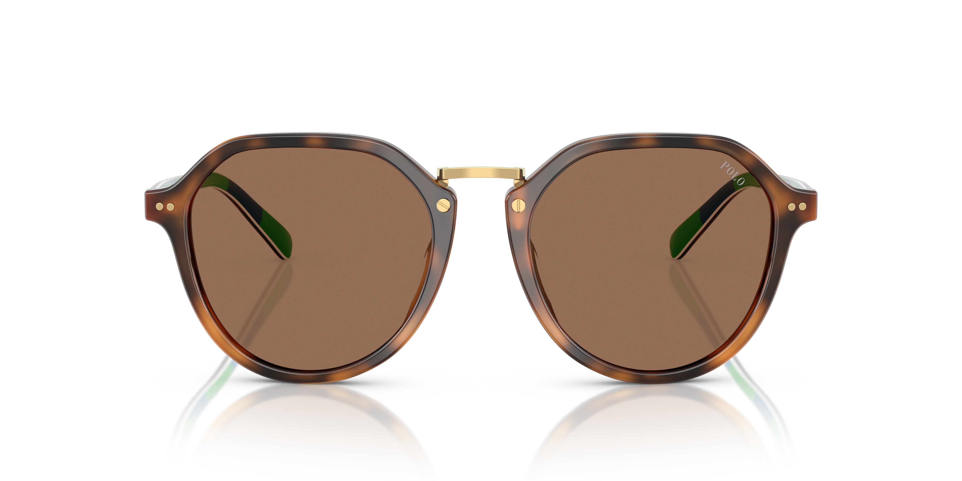 Gafas de Sol Polo Ralph Lauren PH4223U 608973 53 19