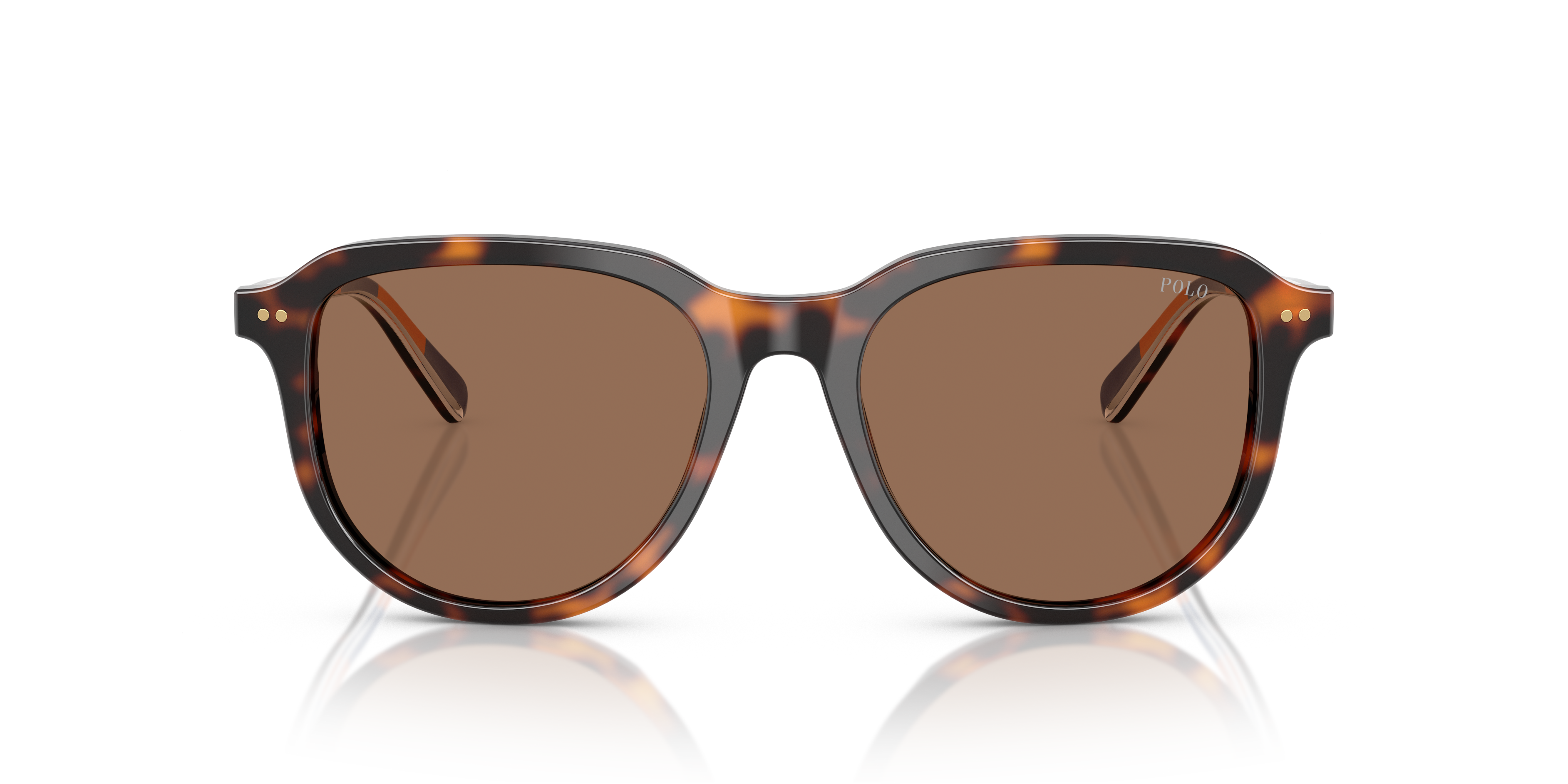 Gafas de Sol Polo Ralph Lauren PH4225 613773 53 18
