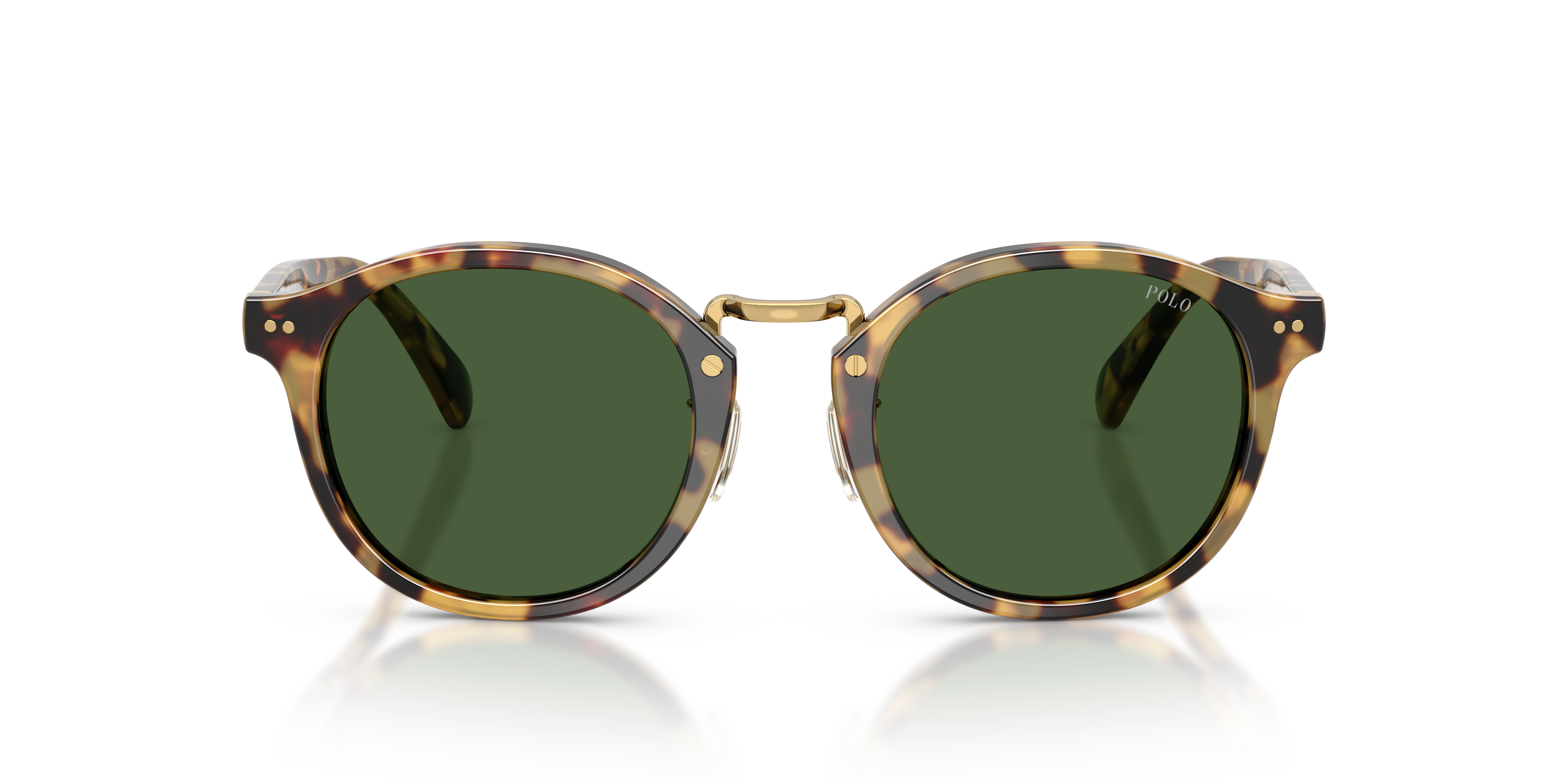 Gafas de Sol Polo Ralph Lauren PH4230 500471 50 22