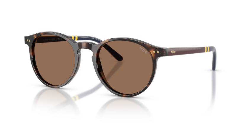 Gafas de Sol Polo Ralph Lauren PH4236 500373 50 20