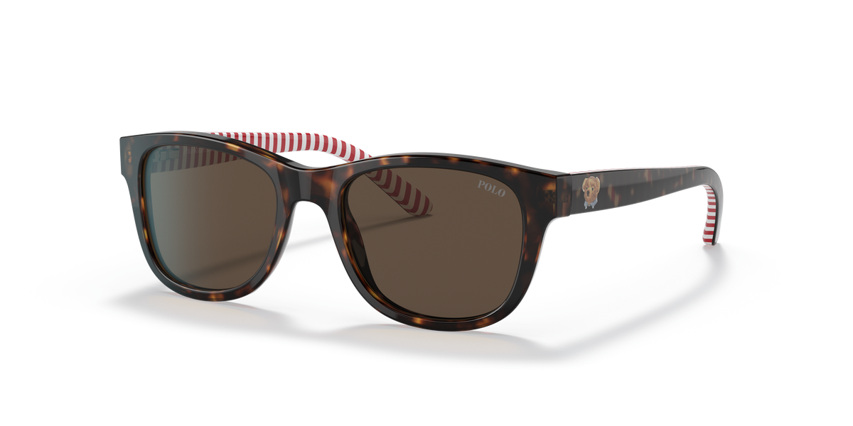 Gafas de Sol Polo Ralph Lauren PP9501 593673 47 17