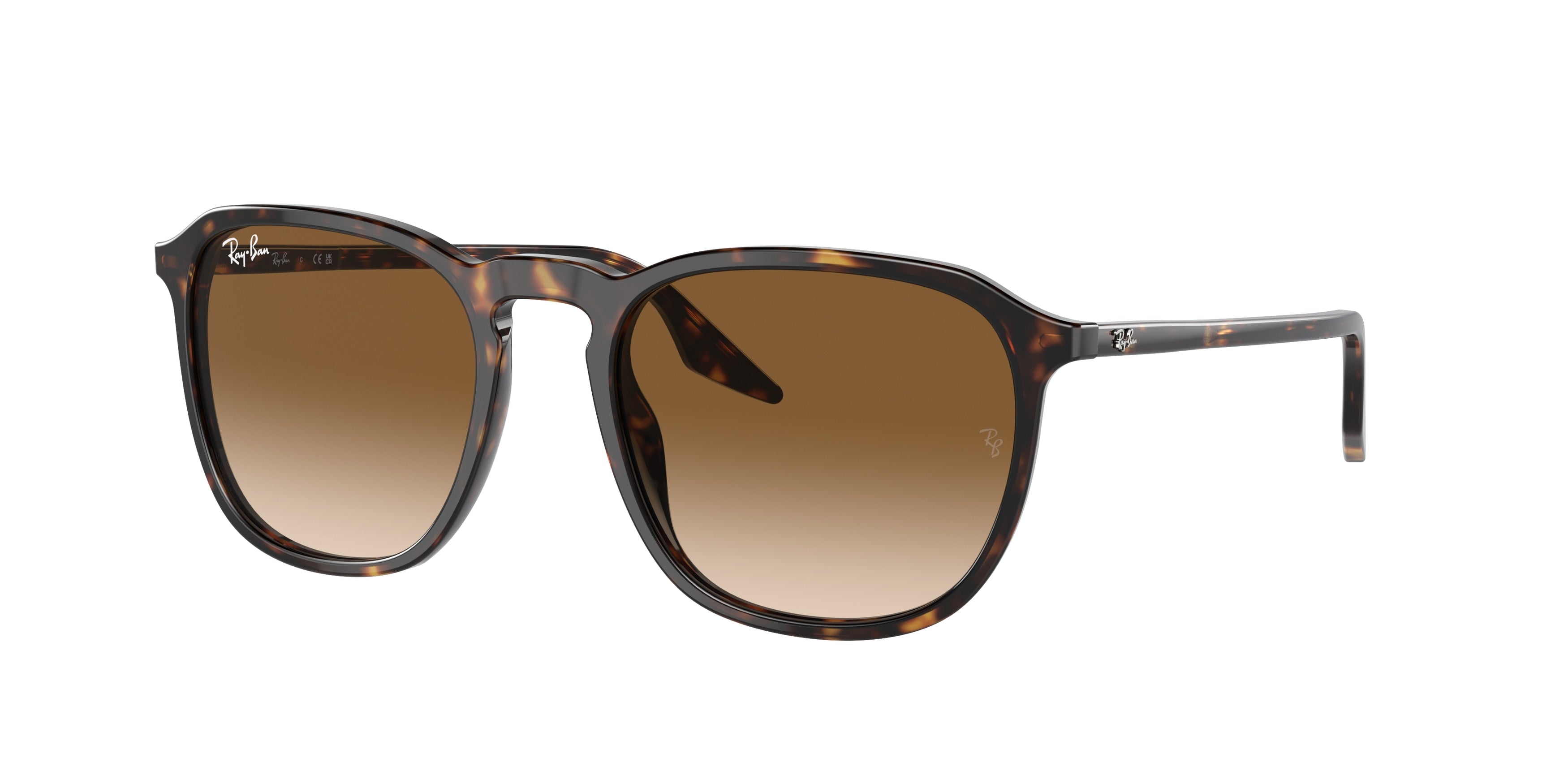 Gafas de Sol Ray-Ban RB2203 902/51 52 20