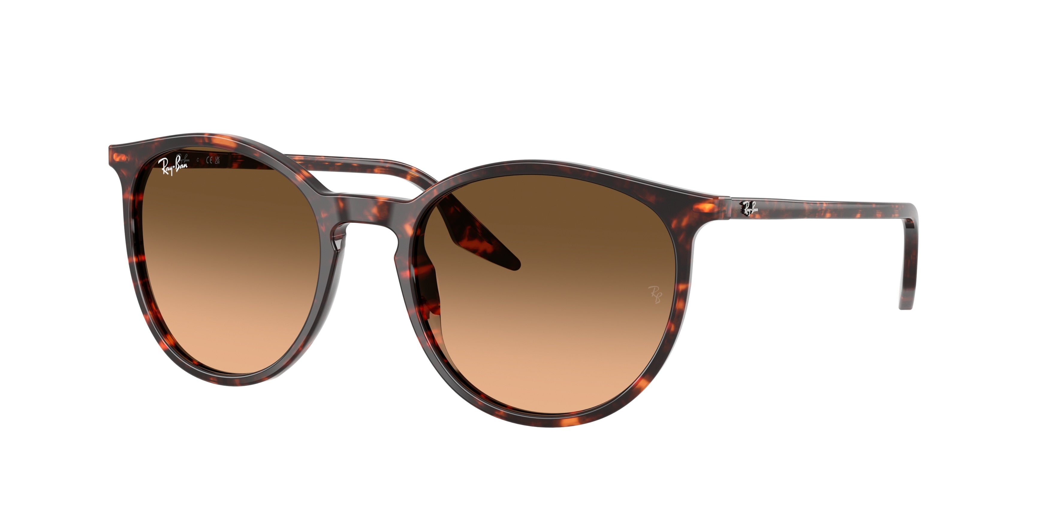 Gafas de Sol Ray-Ban RB2204 14293B