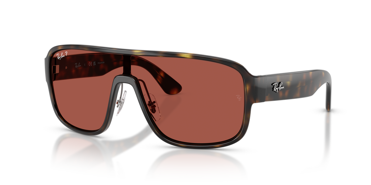 Sunglasses Ray-Ban RB2229 710/1B 29 129