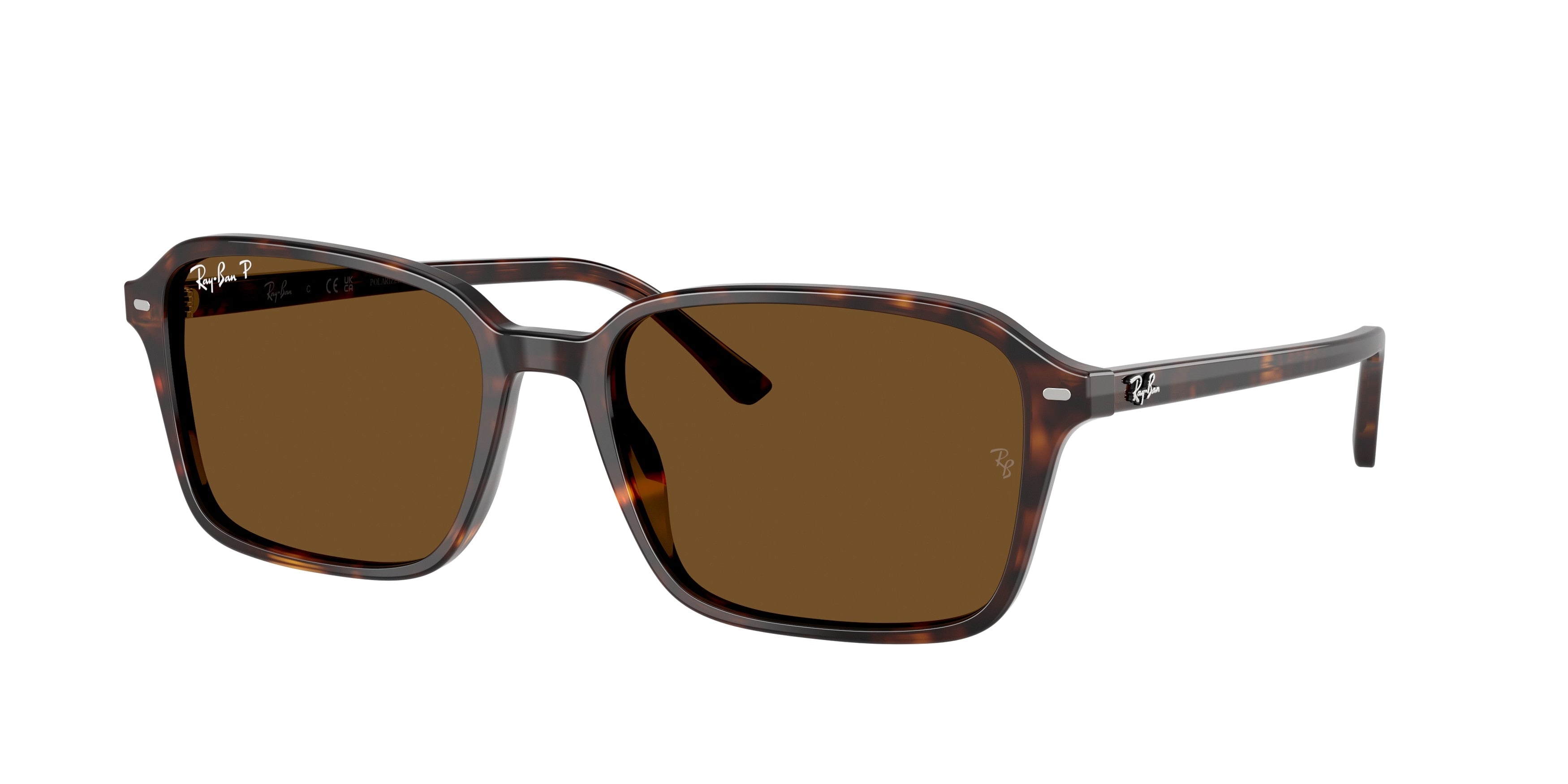 Gafas de Sol Ray-Ban RAIMOND RB2231 902/57 58 18