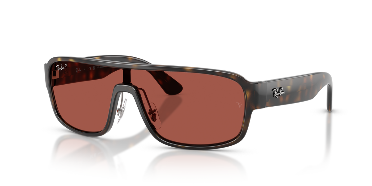 Gafas de Sol Ray-Ban RB2233 710/1B 29 129