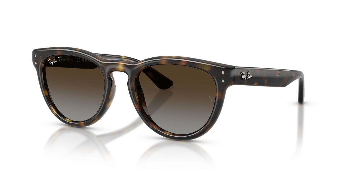 Sunglasses Ray-Ban RB2237 710/T5 51 20