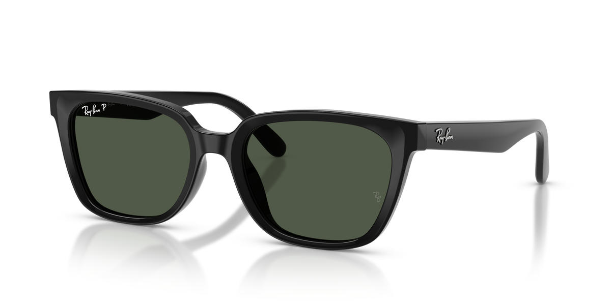Sunglasses Ray-Ban RB2243D 901/9A 55 19
