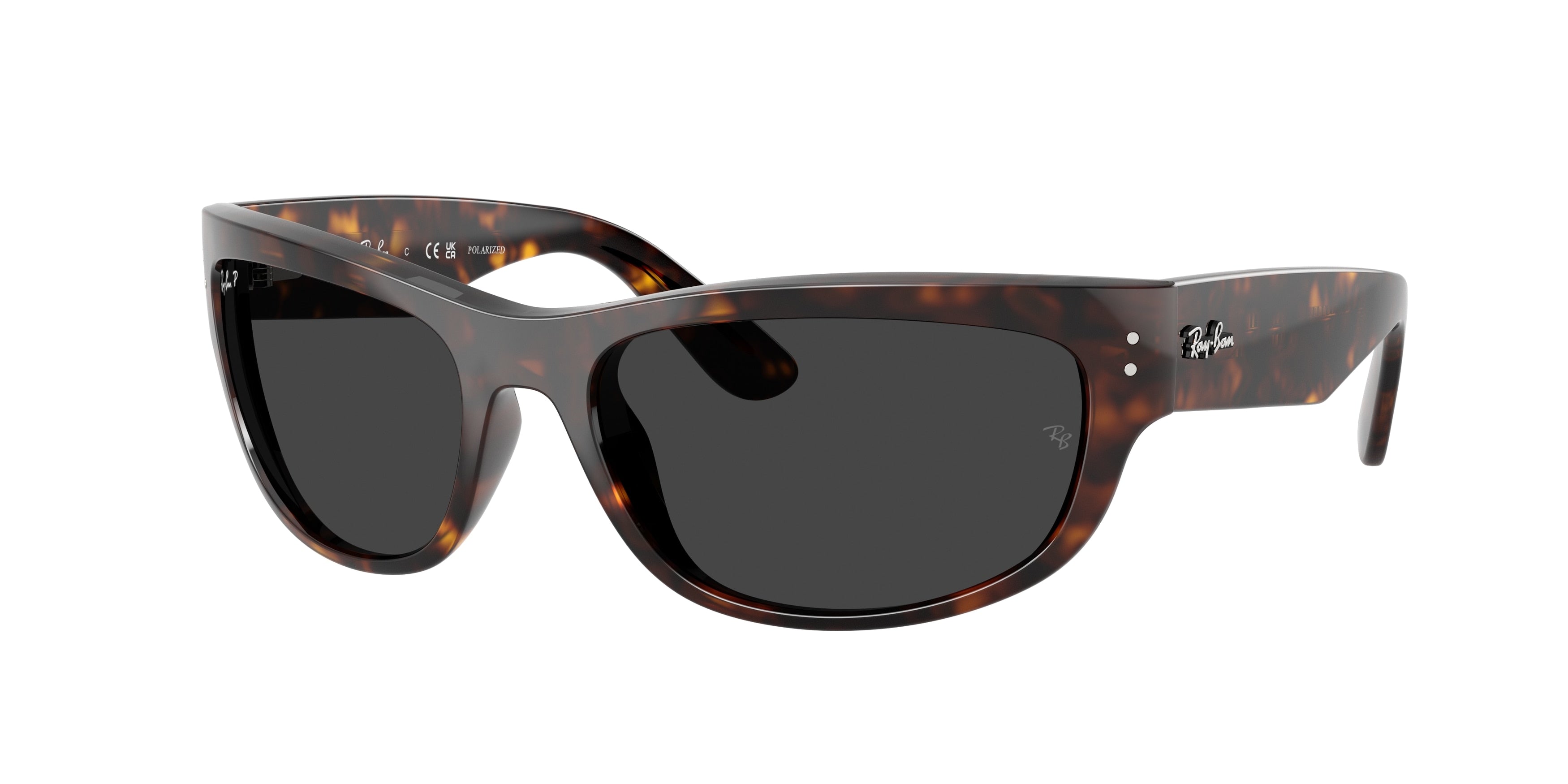 Gafas de Sol Ray-Ban MEGA BALORAMA RB2289 902/48