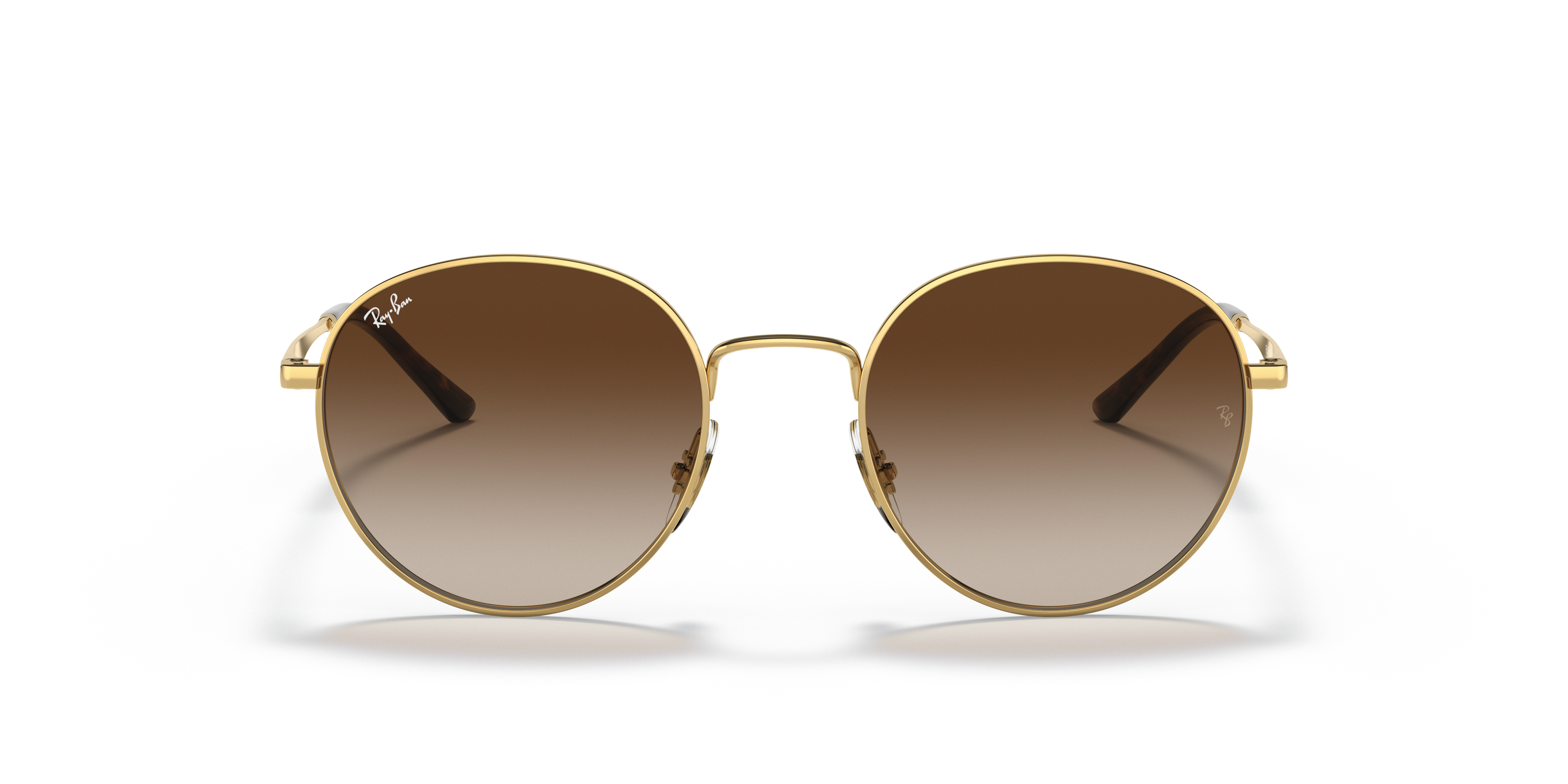 Gafas de Sol Ray-Ban RB3681 001/13