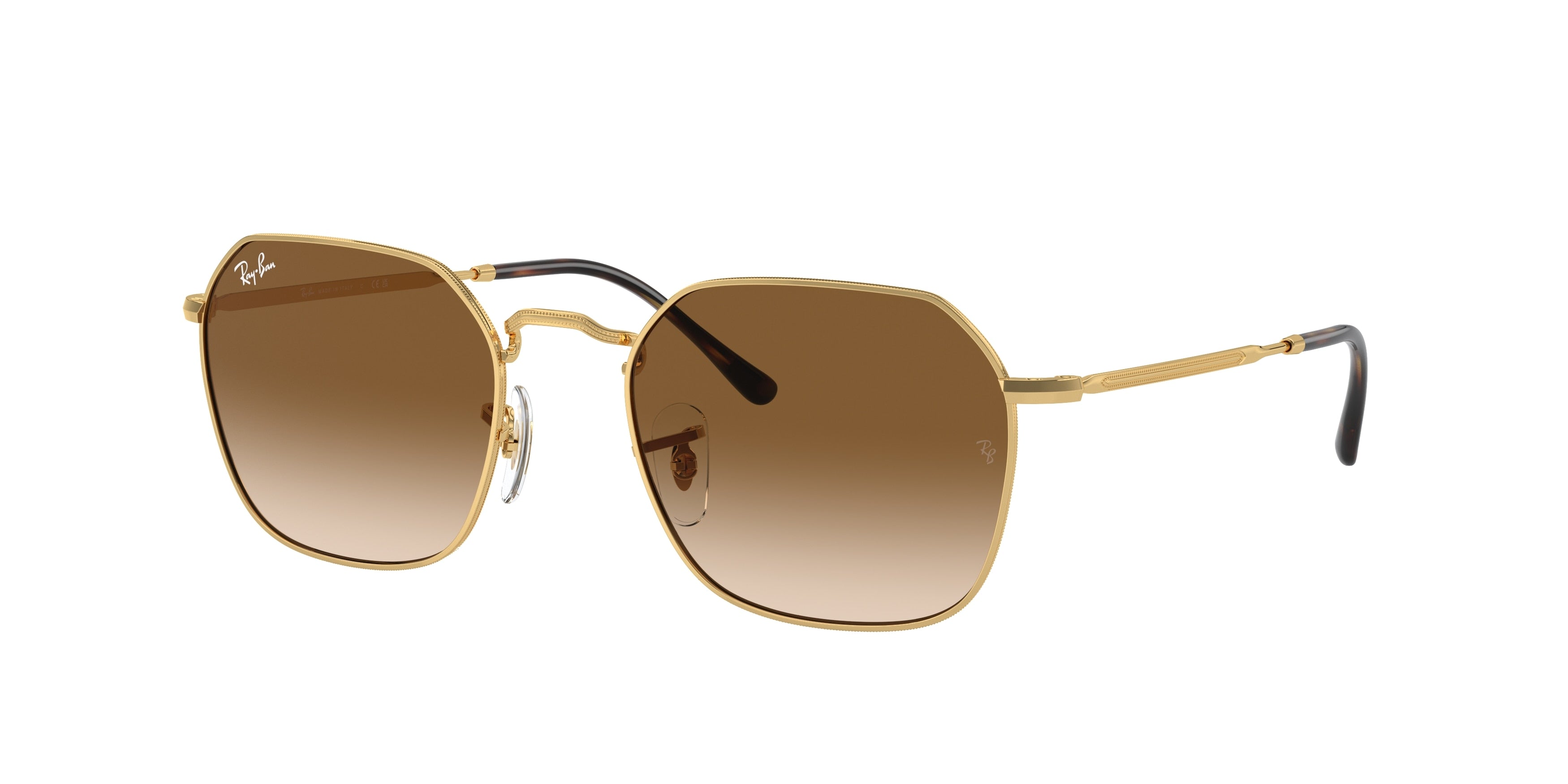Gafas de Sol Ray-Ban JIM RB3694 001/51
